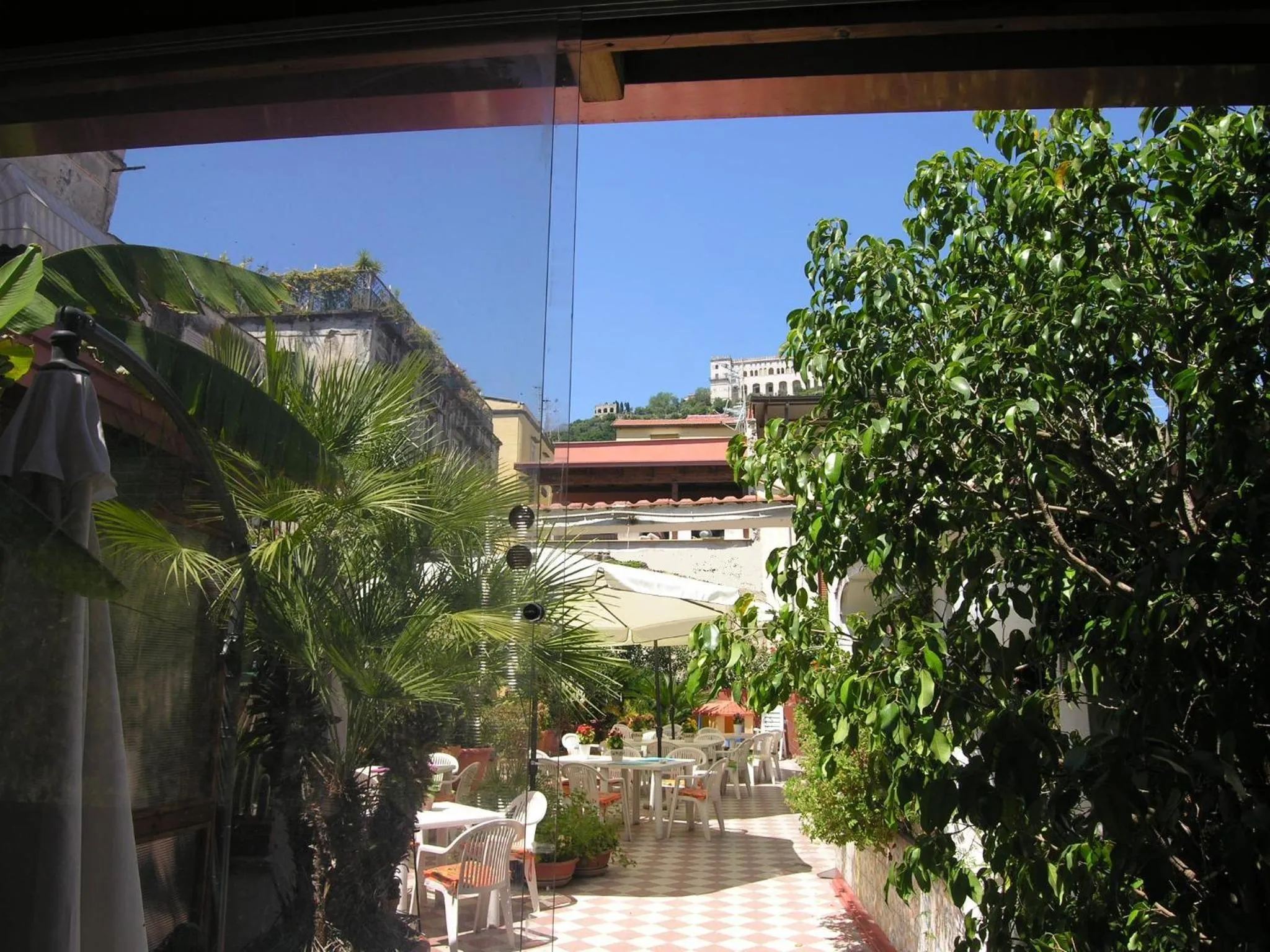 Garden in Hotel Toledo