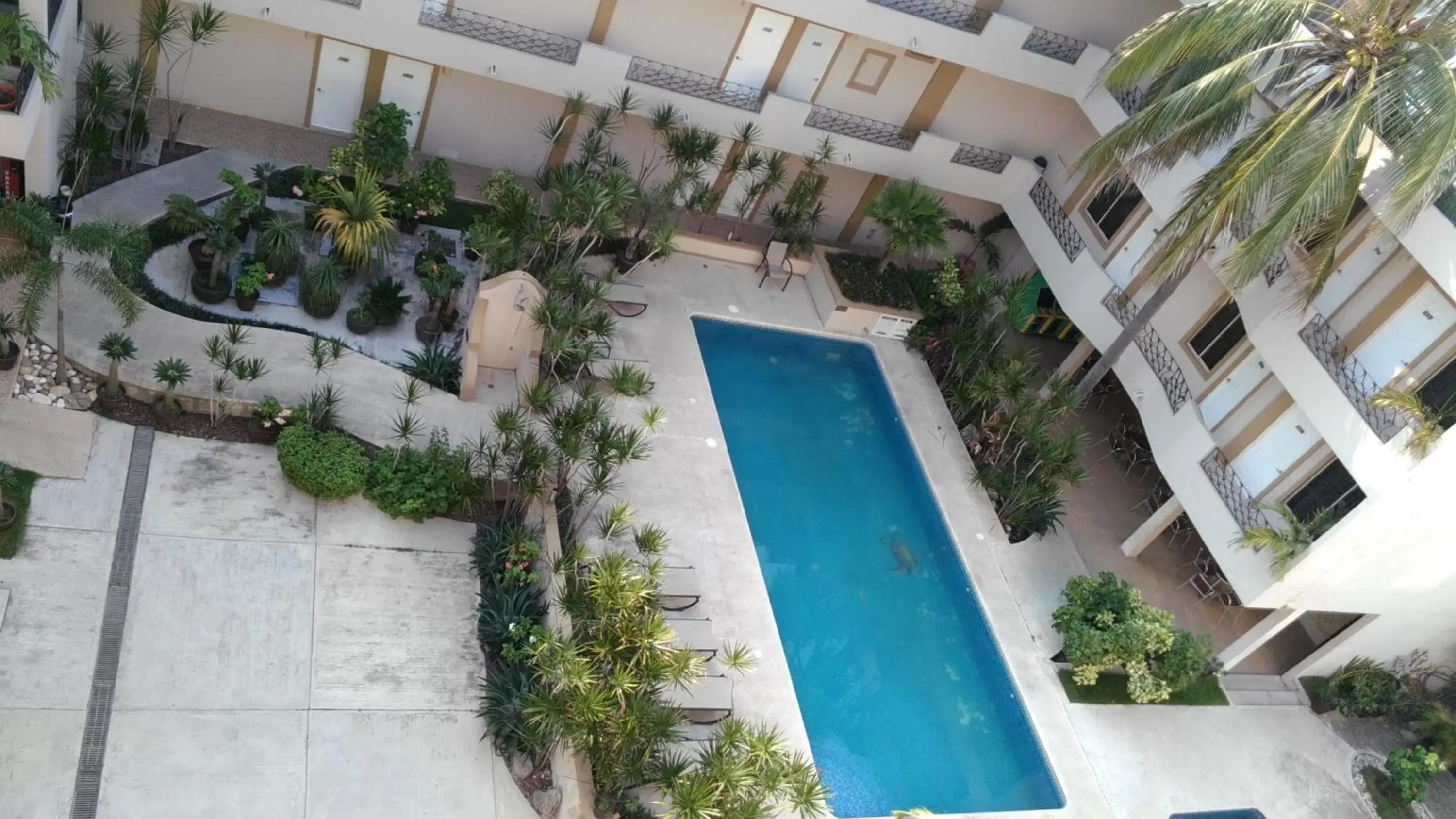 Bird's eye view, Pool View in Hotel Mediterraneo