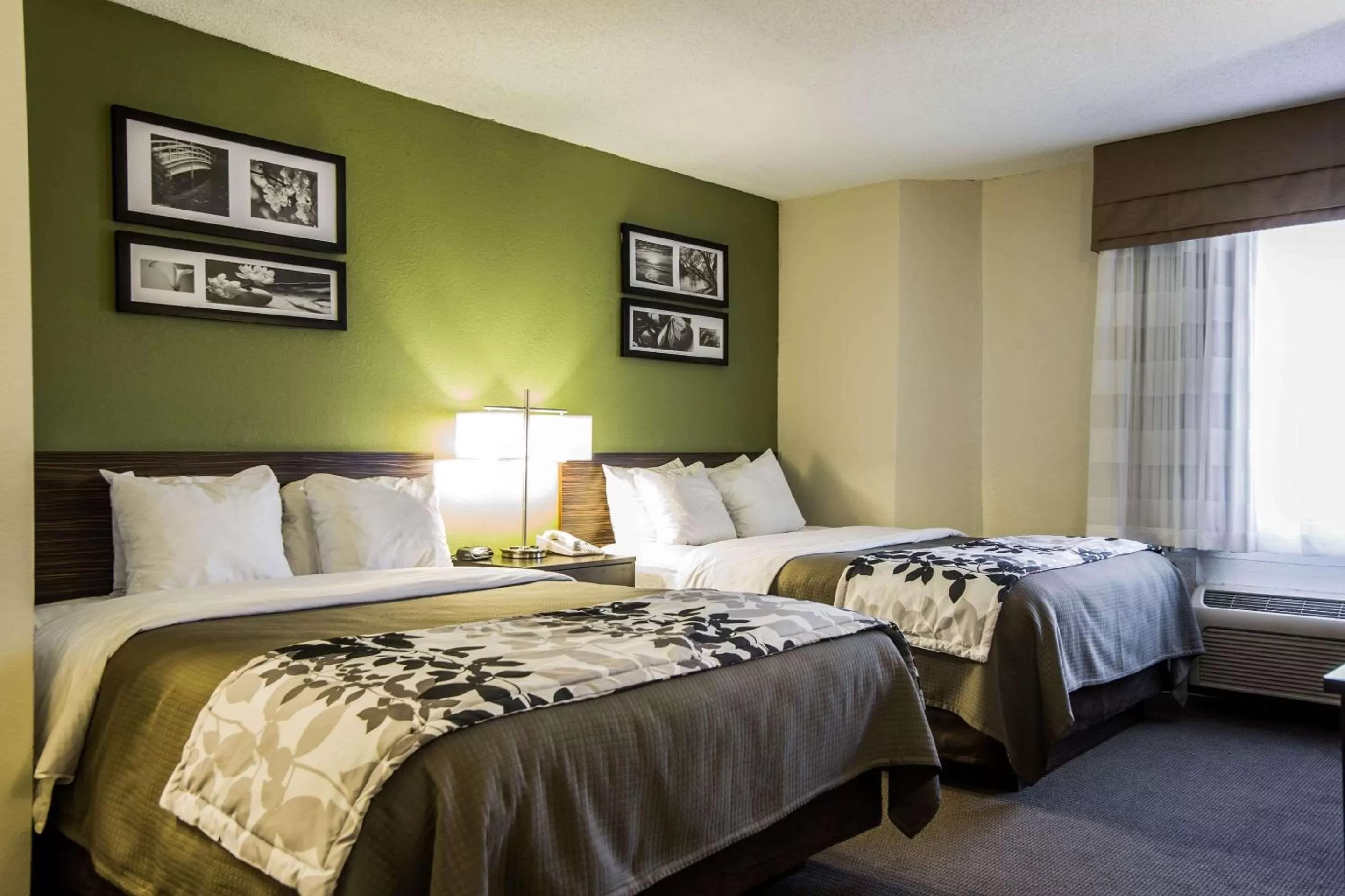 Photo of the whole room, Bed in Sleep Inn Columbia Airport