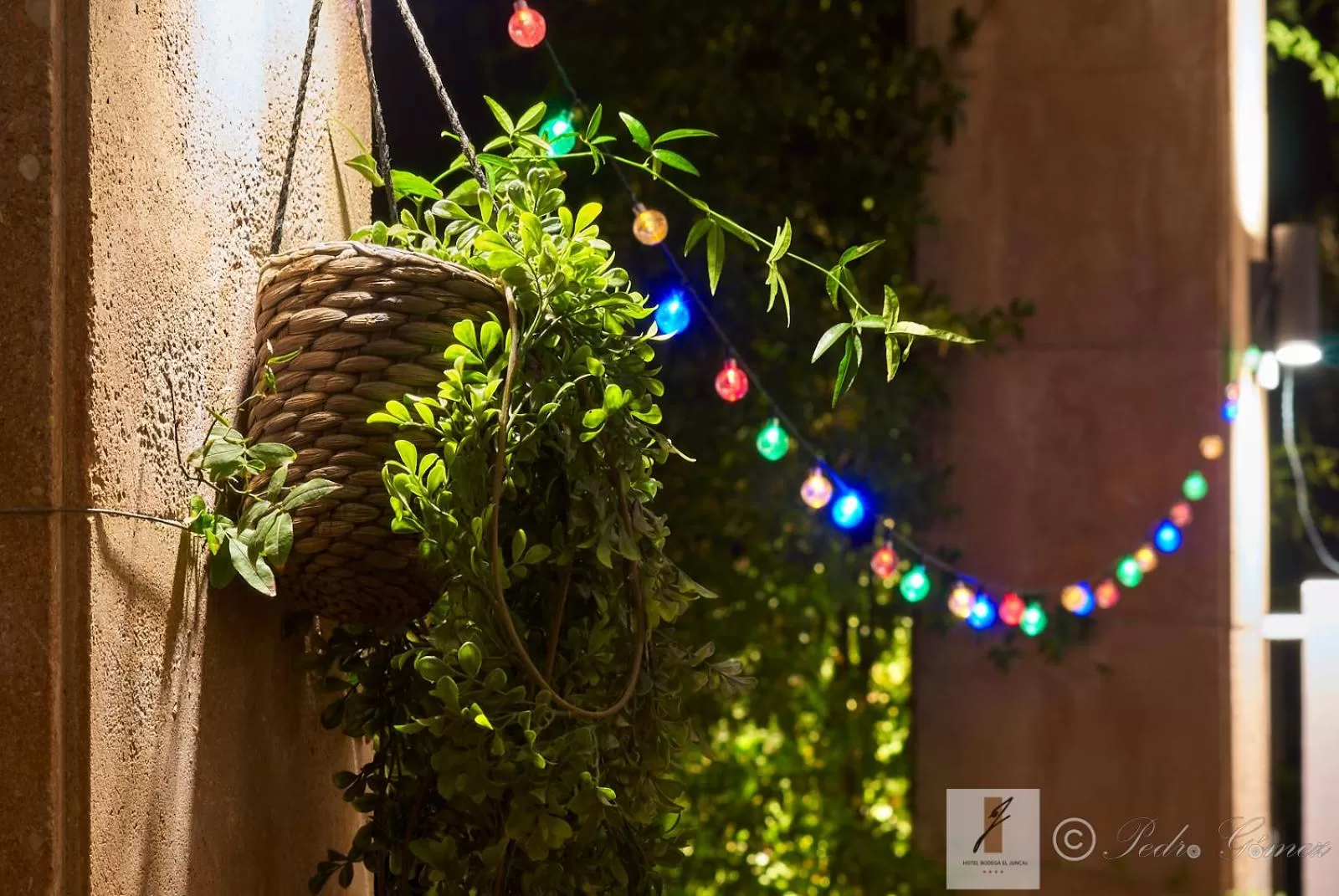 Patio in Hotel Bodega El Juncal
