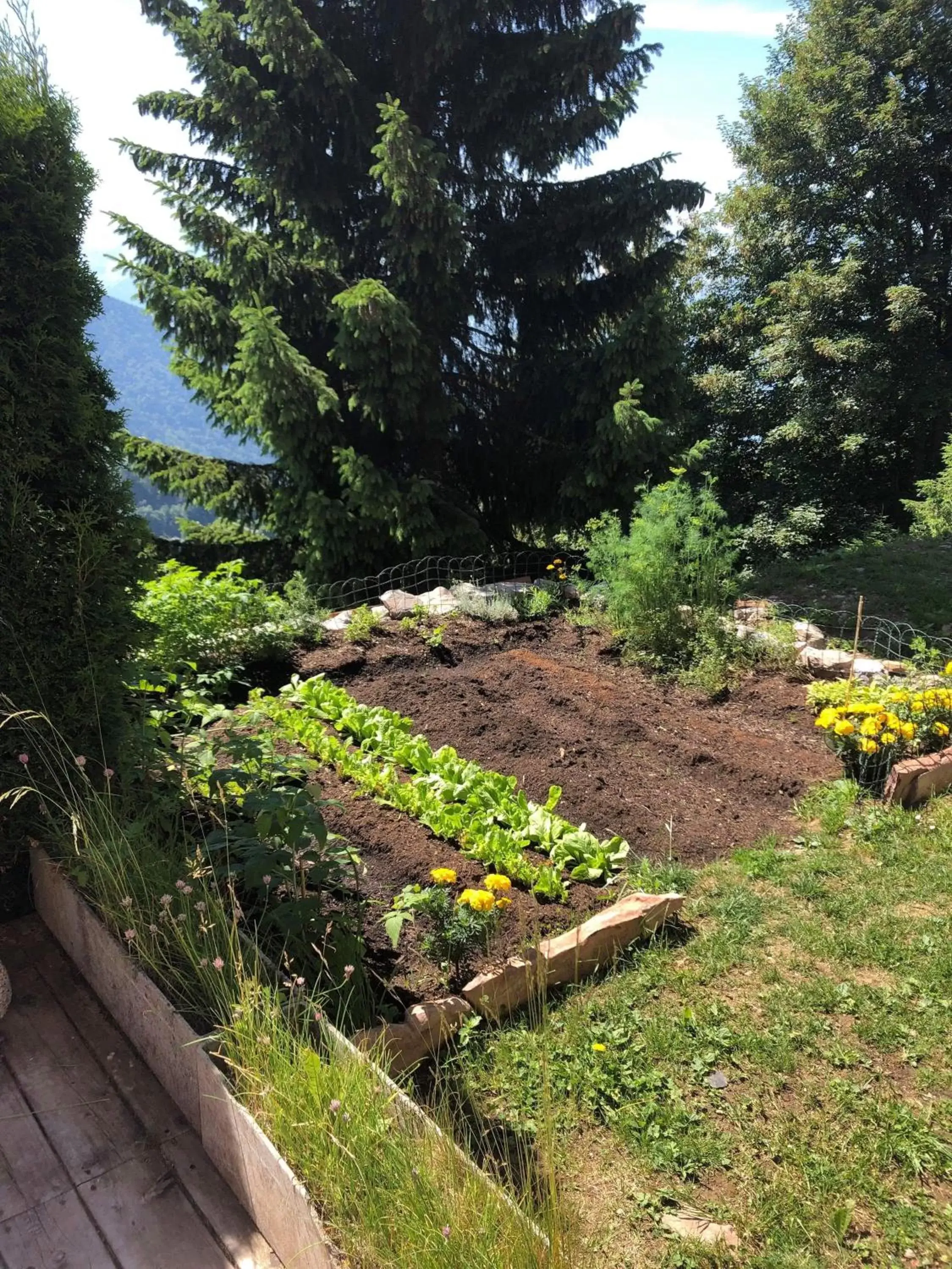 Spring in Hôtel Le Grand Chalet