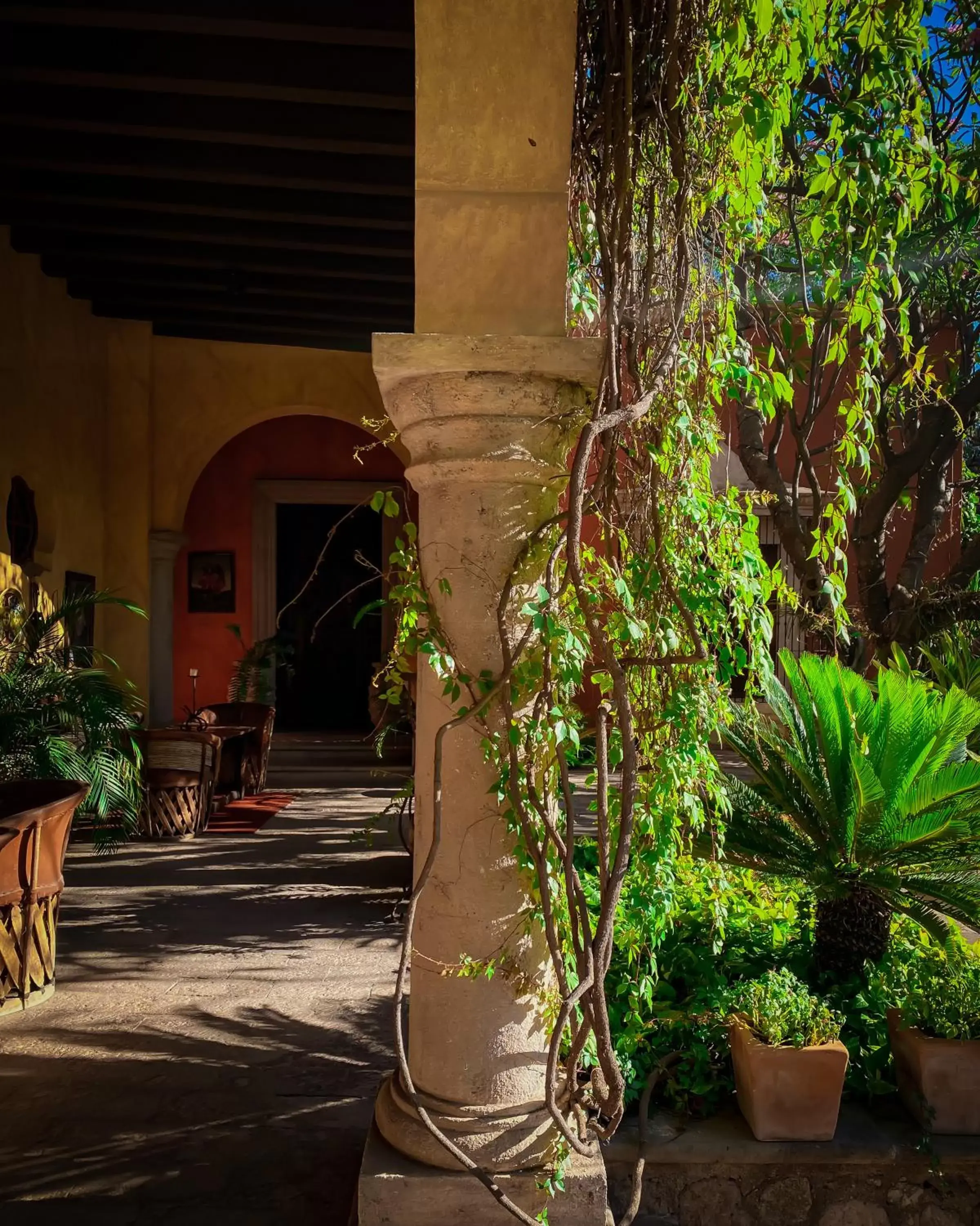 Garden in Hacienda de los Santos