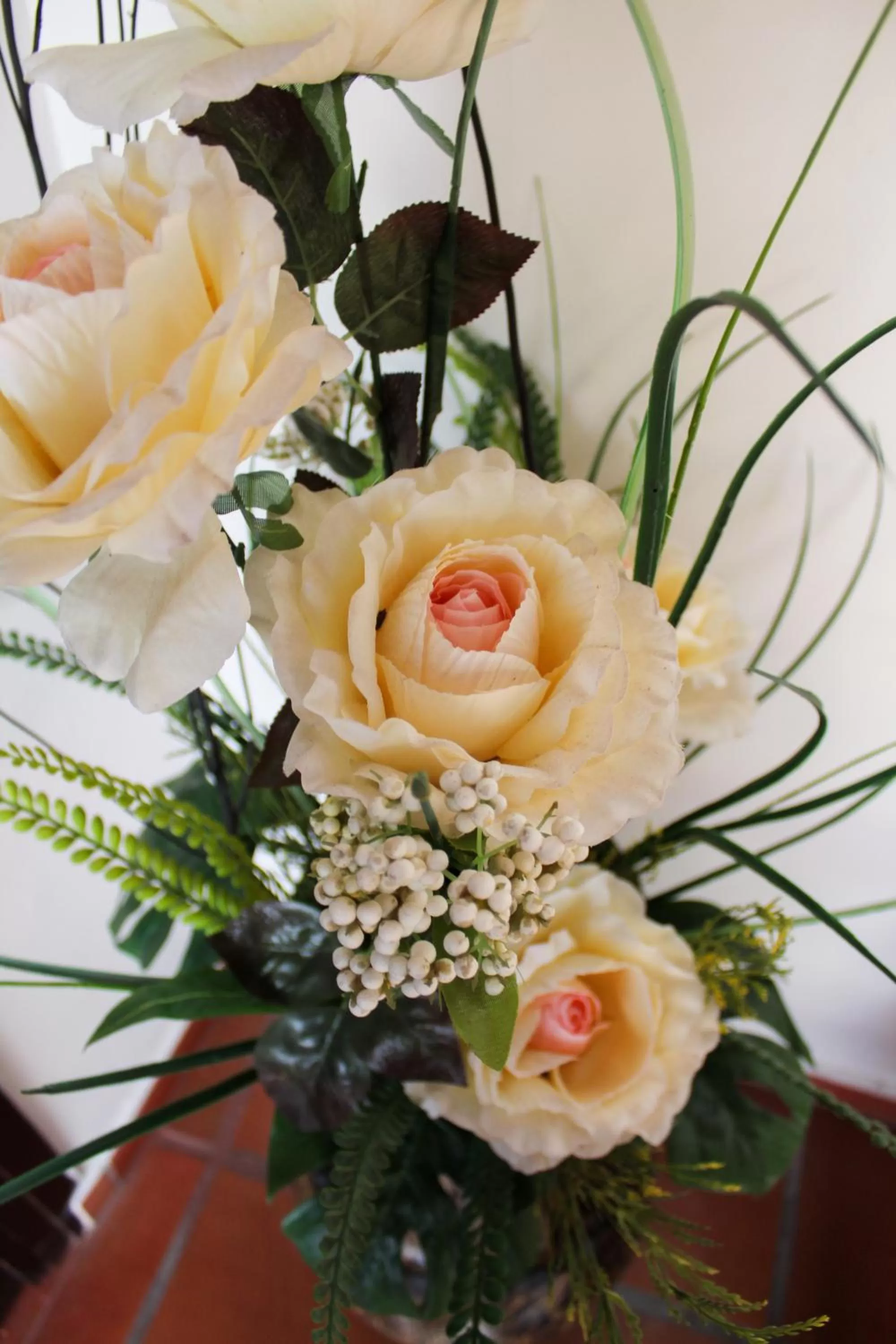 View (from property/room) in Hotel Colonial San Felipe