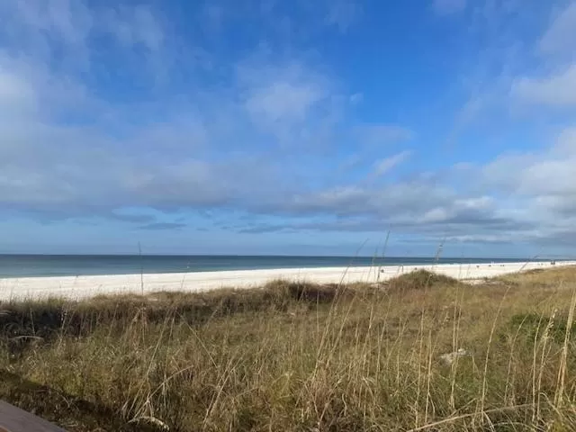 Beach in Shores of Panama Resort