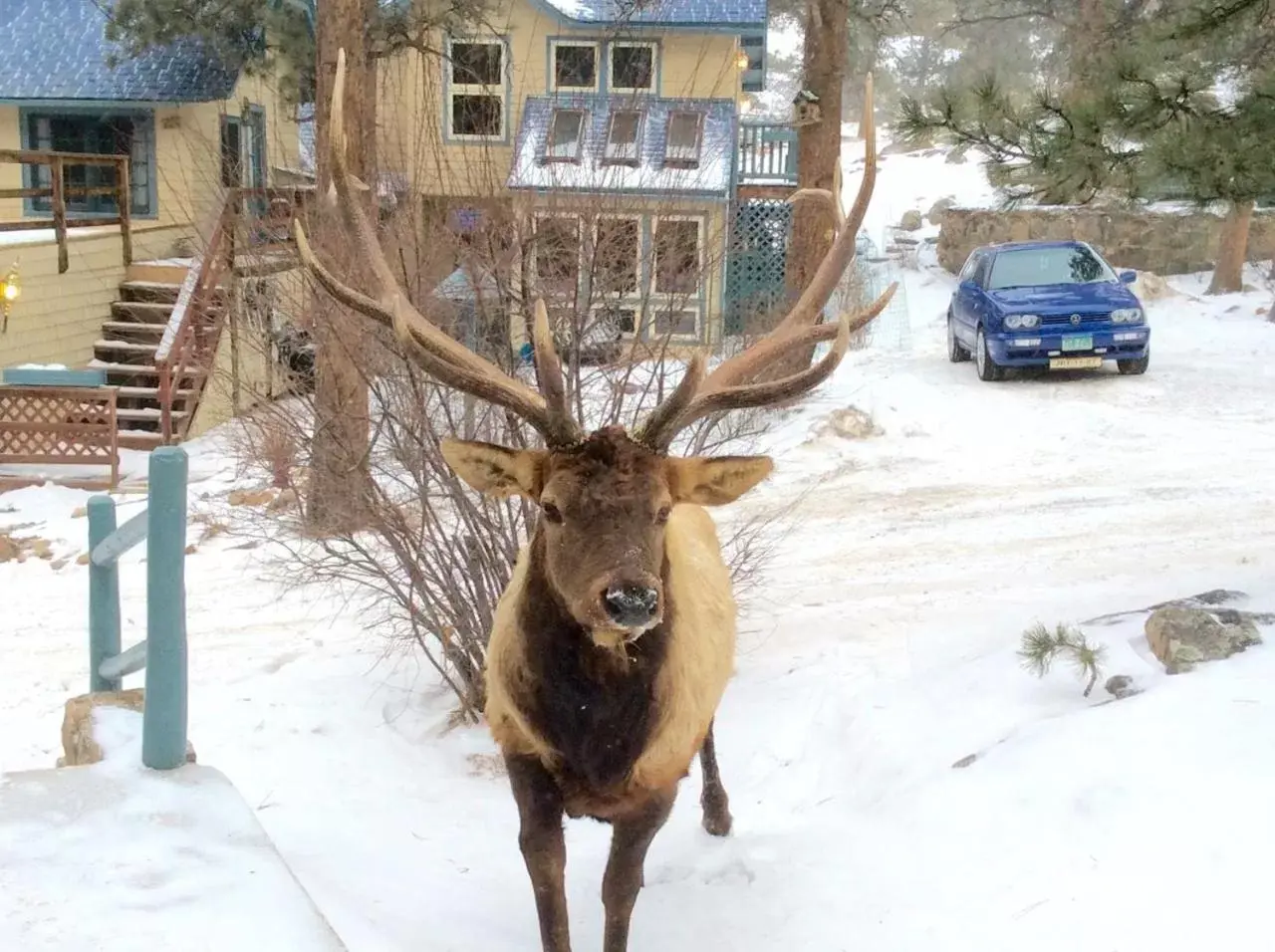 Winter in Romantic RiverSong Inn