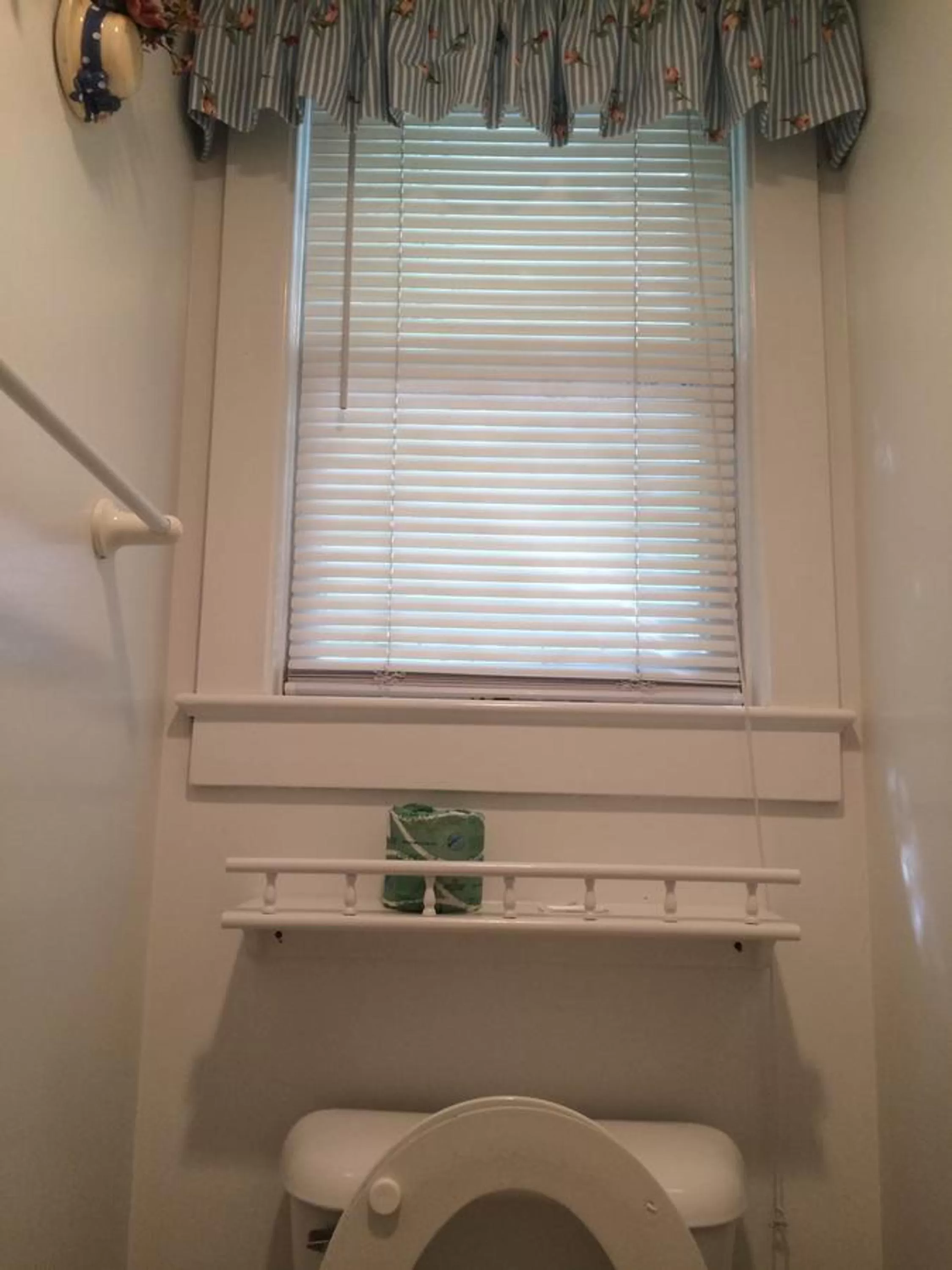 Toilet in Angie's Guest Cottage