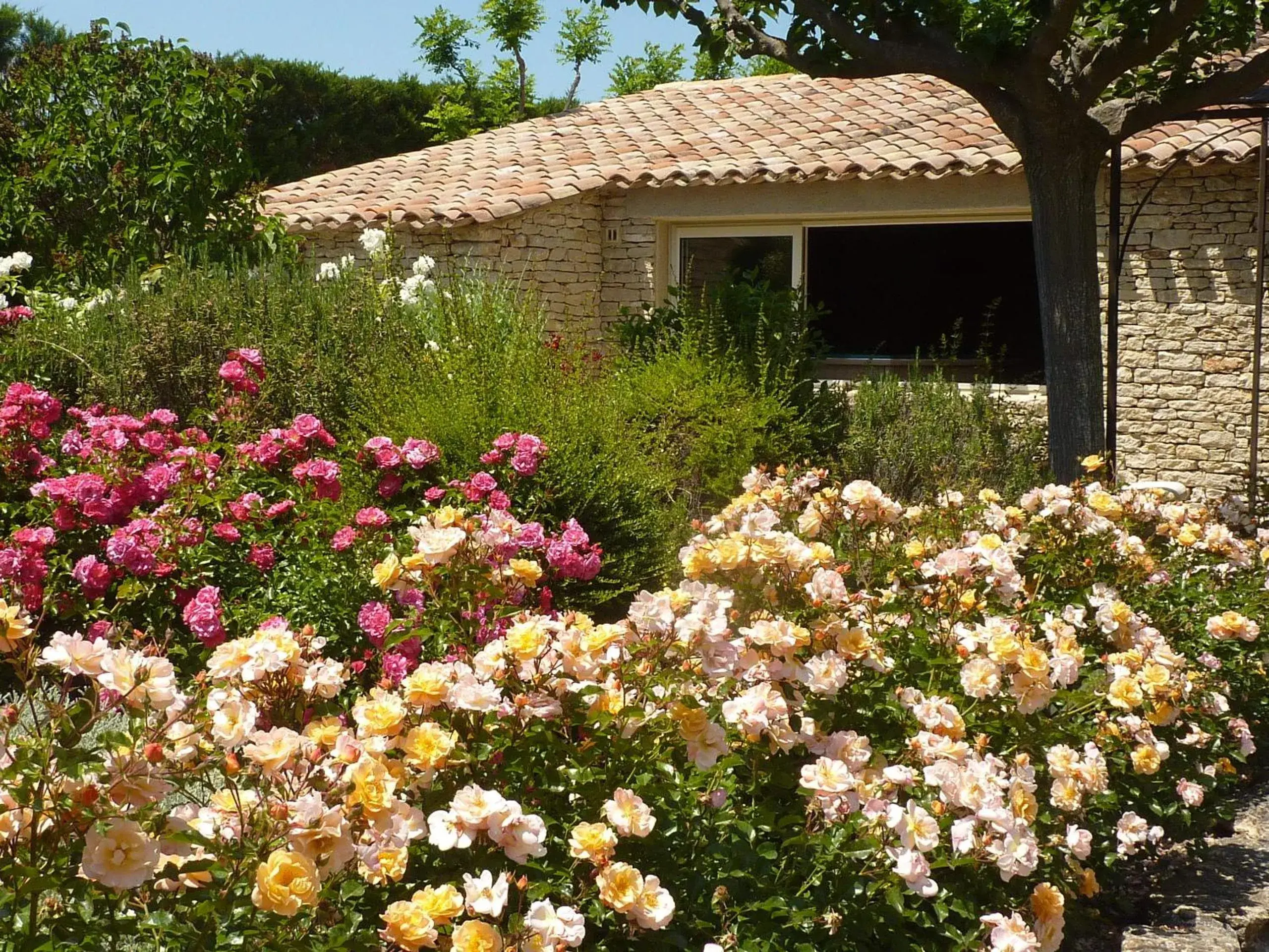 Garden, Property Building in Mas De La Senancole