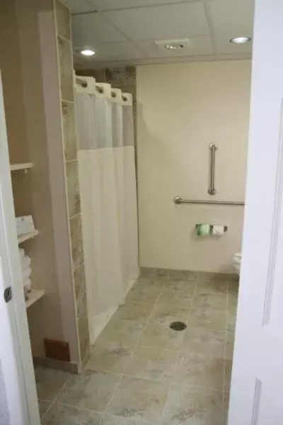 Shower, Bathroom in Best Western Plus Plattsburgh
