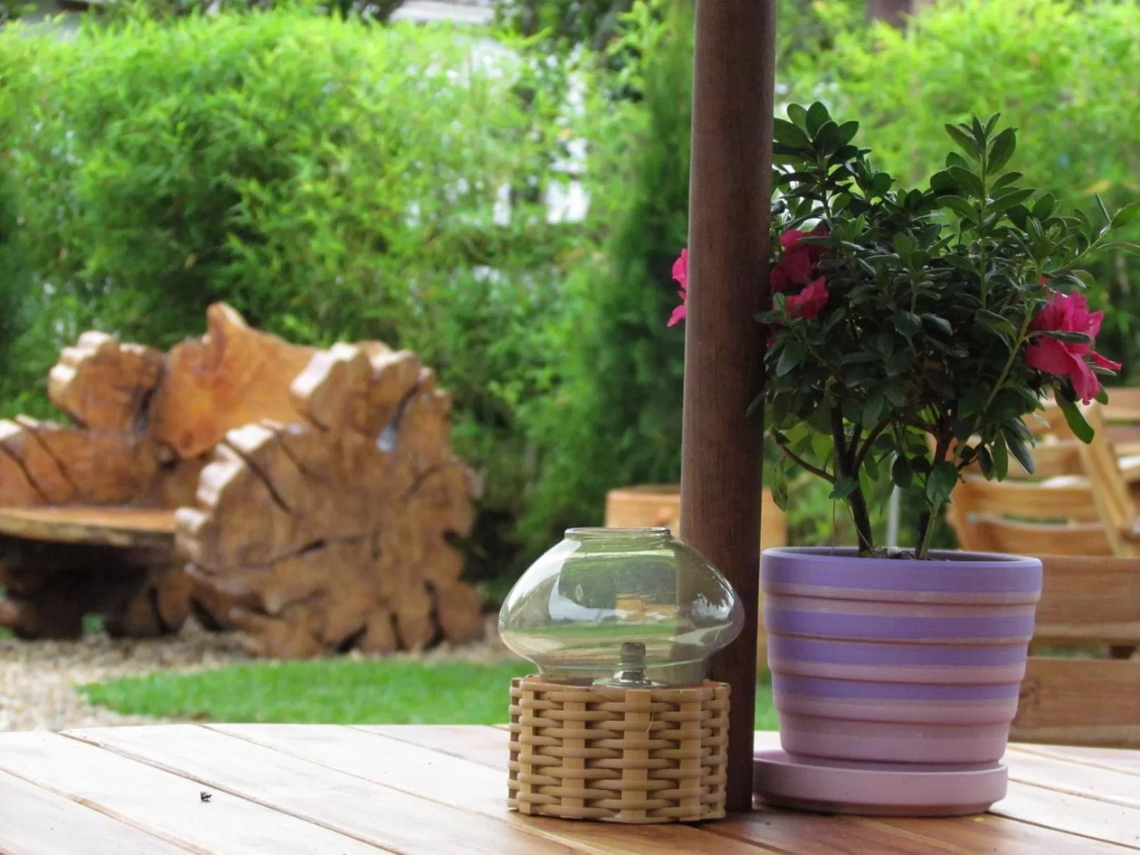 Other in Hotel Salento Plaza