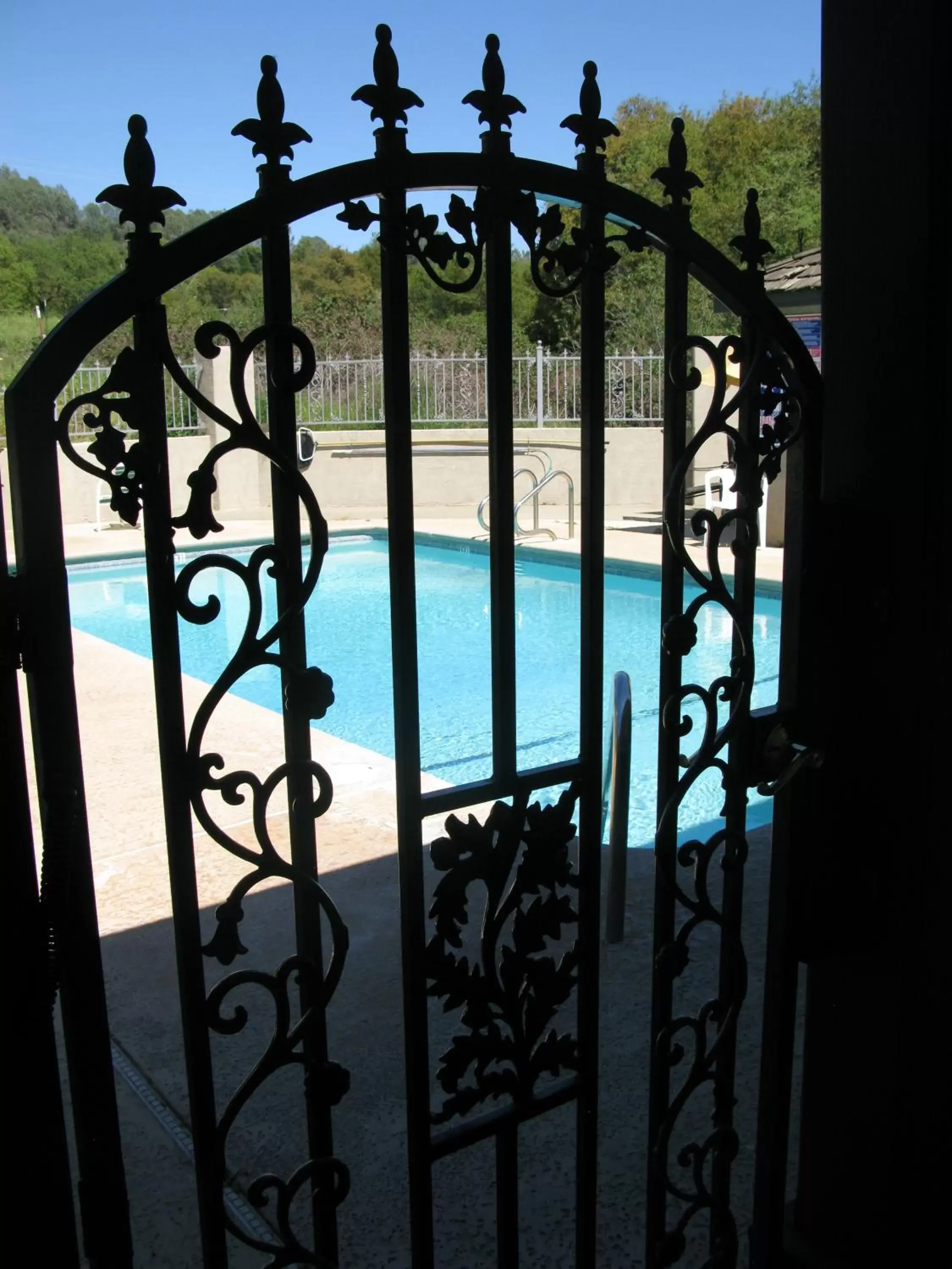 Decorative detail, Pool View in Country Inn Sonora