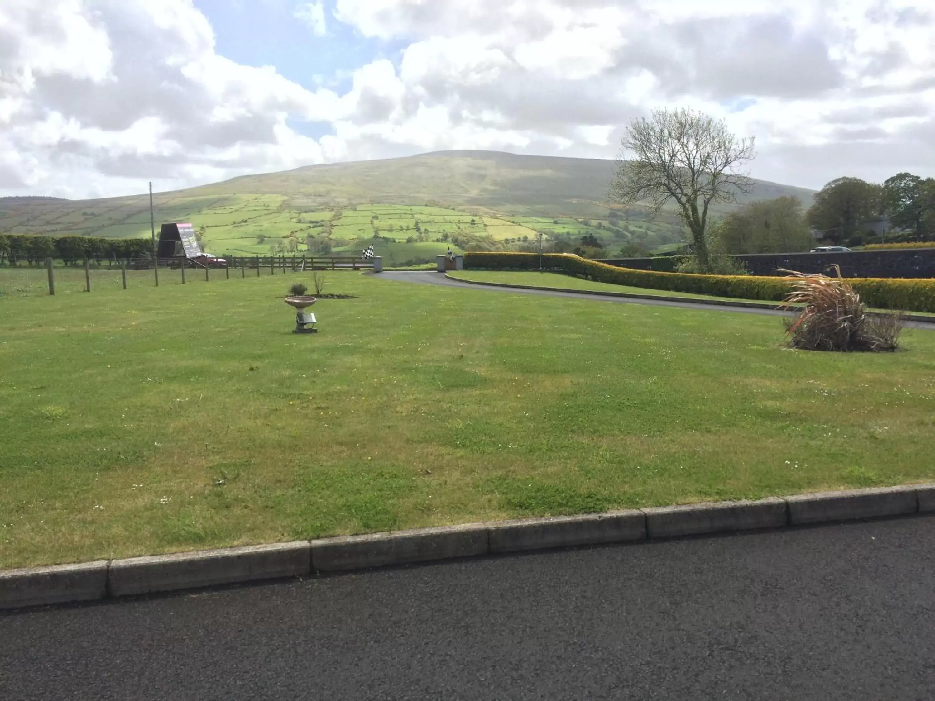 Natural landscape in Carnately Lodge