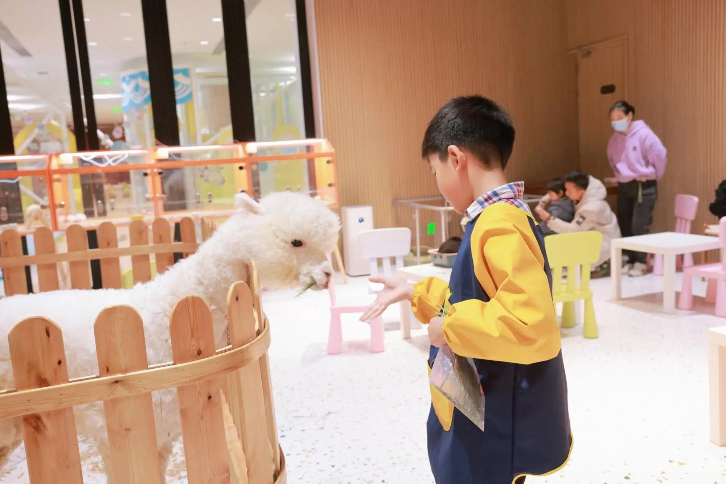 Animals, Children in Shenzhen Marriott Hotel Golden Bay