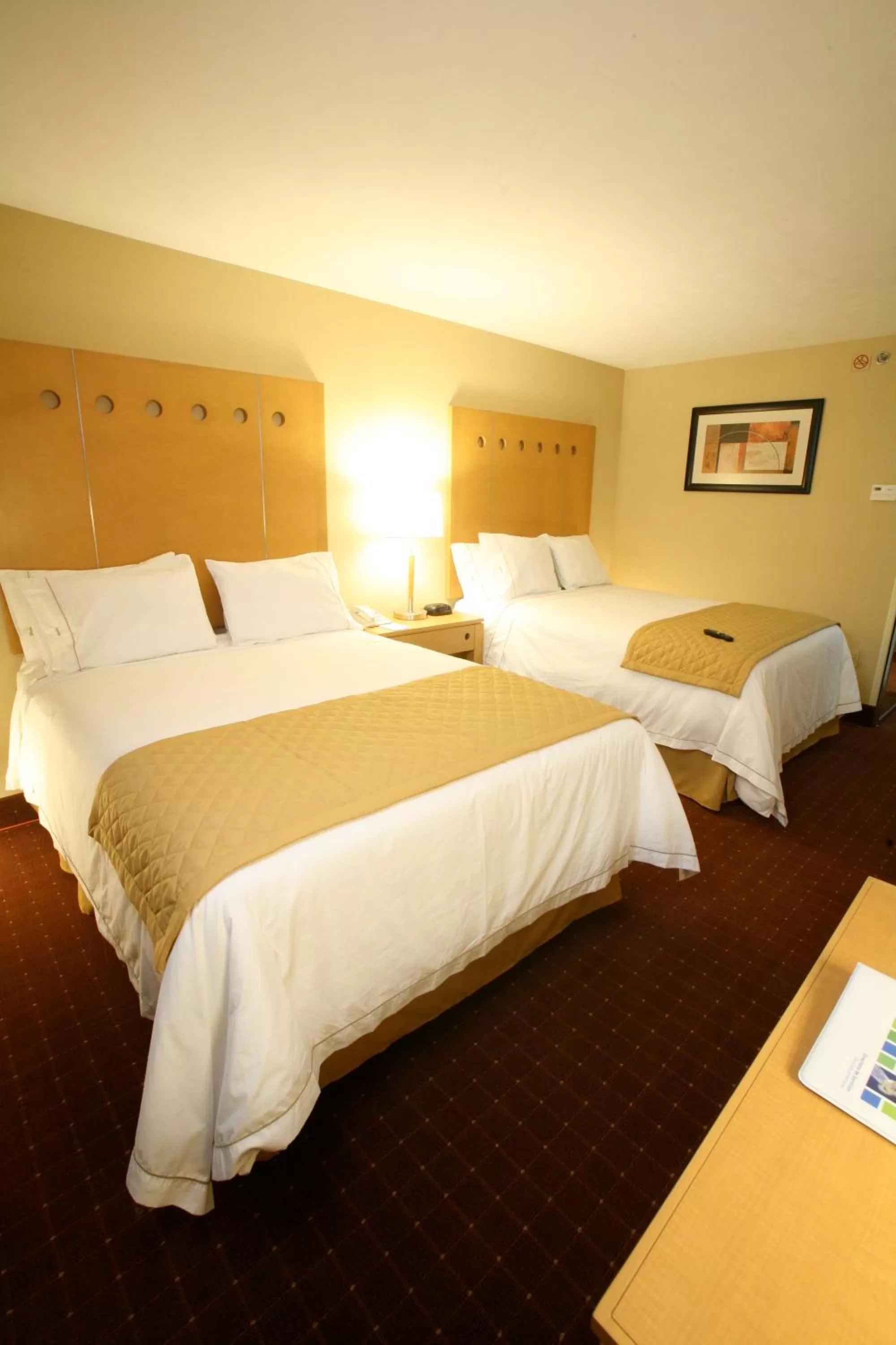 View (from property/room), Bed in Holiday Inn Express Saltillo Zona Aeropuerto by IHG