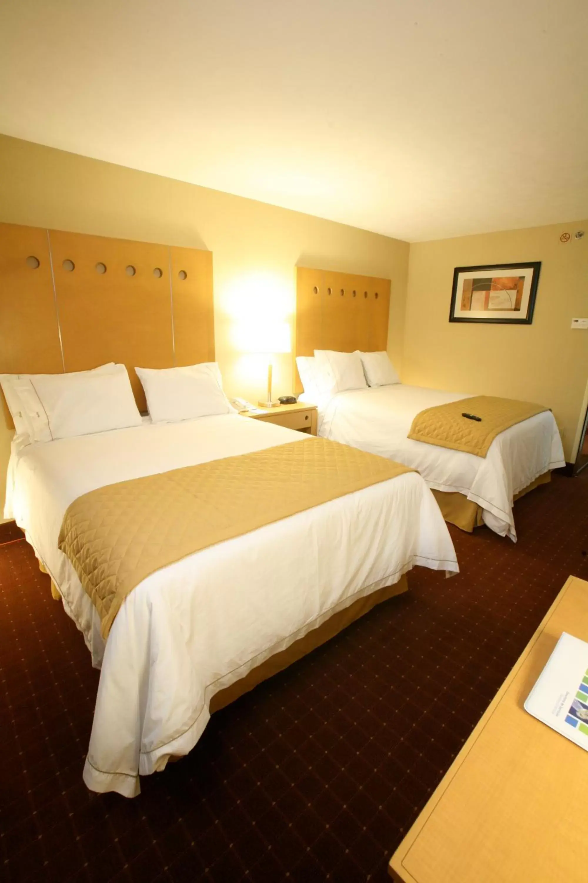 View (from property/room), Bed in Holiday Inn Express Saltillo Zona Aeropuerto by IHG View (from property/room), Bed in Holiday Inn Express Saltillo Zona Aeropuerto by IHG