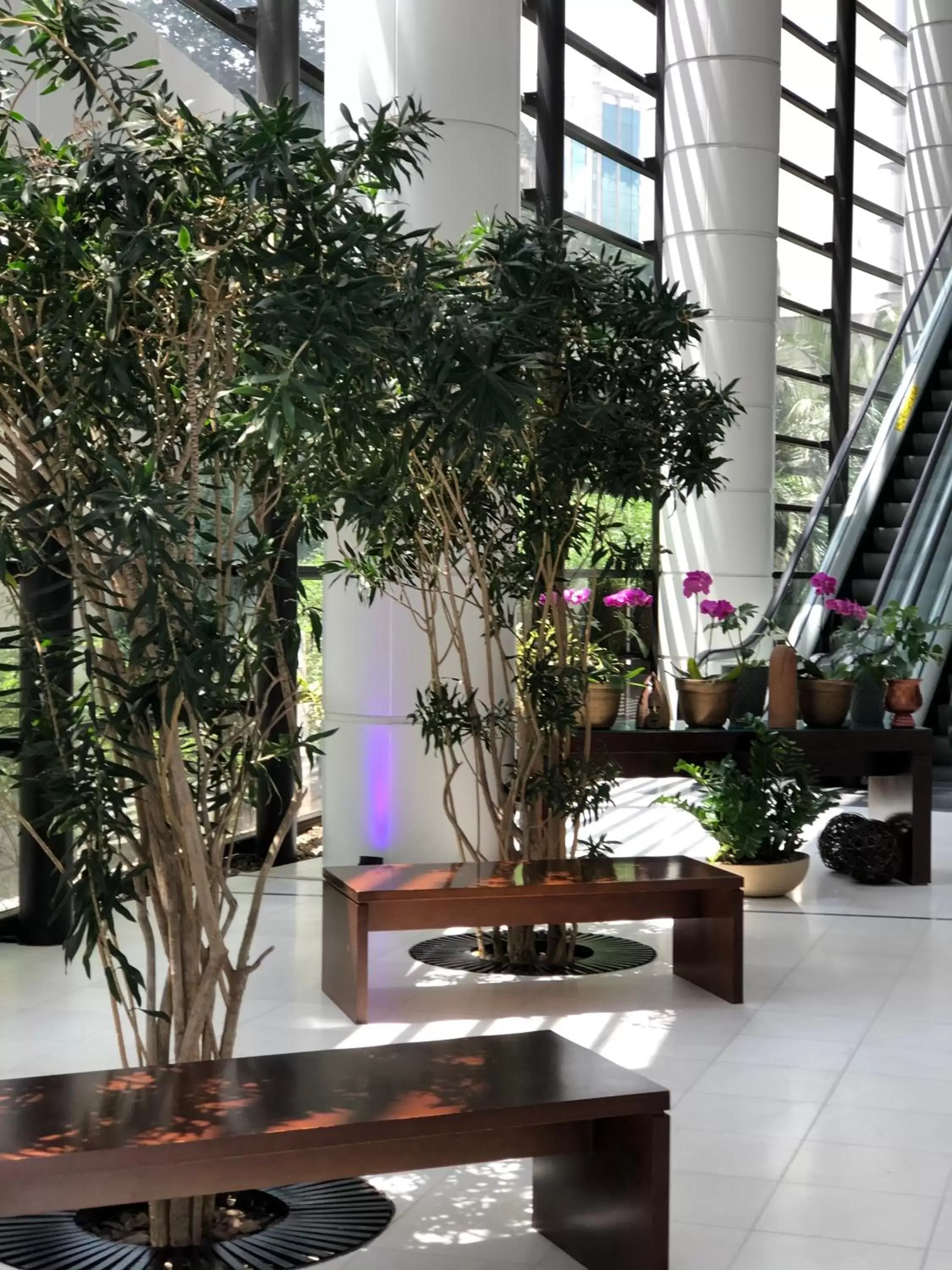 Lobby or reception in Mercure Sao Paulo Grand Plaza Paulista