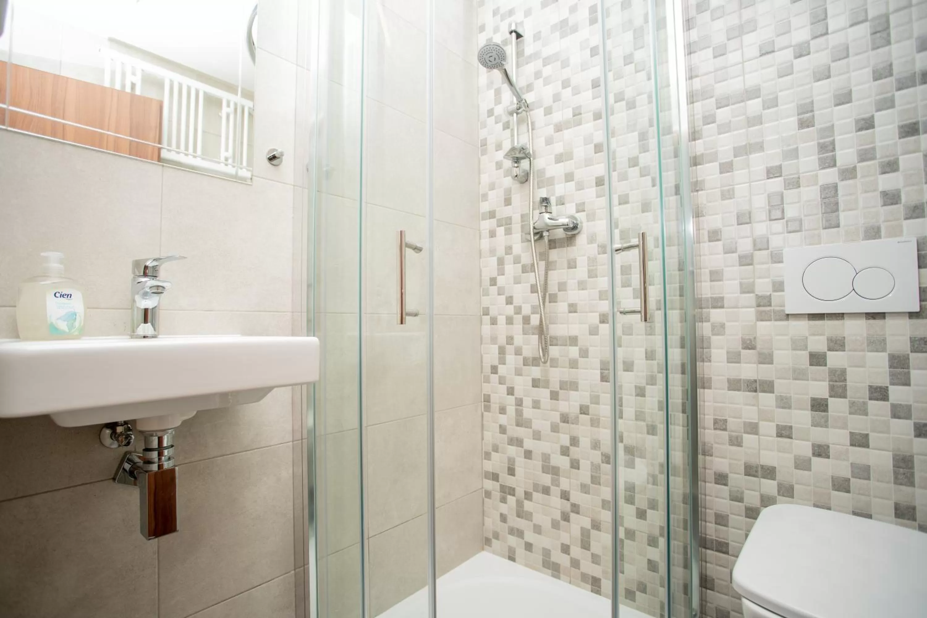 Bathroom in Hotel U koně