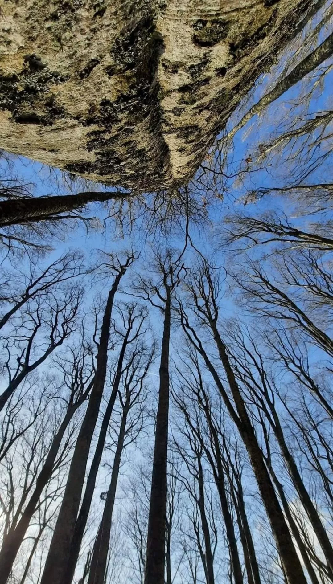 Natural landscape, Winter in B&B BORGHI