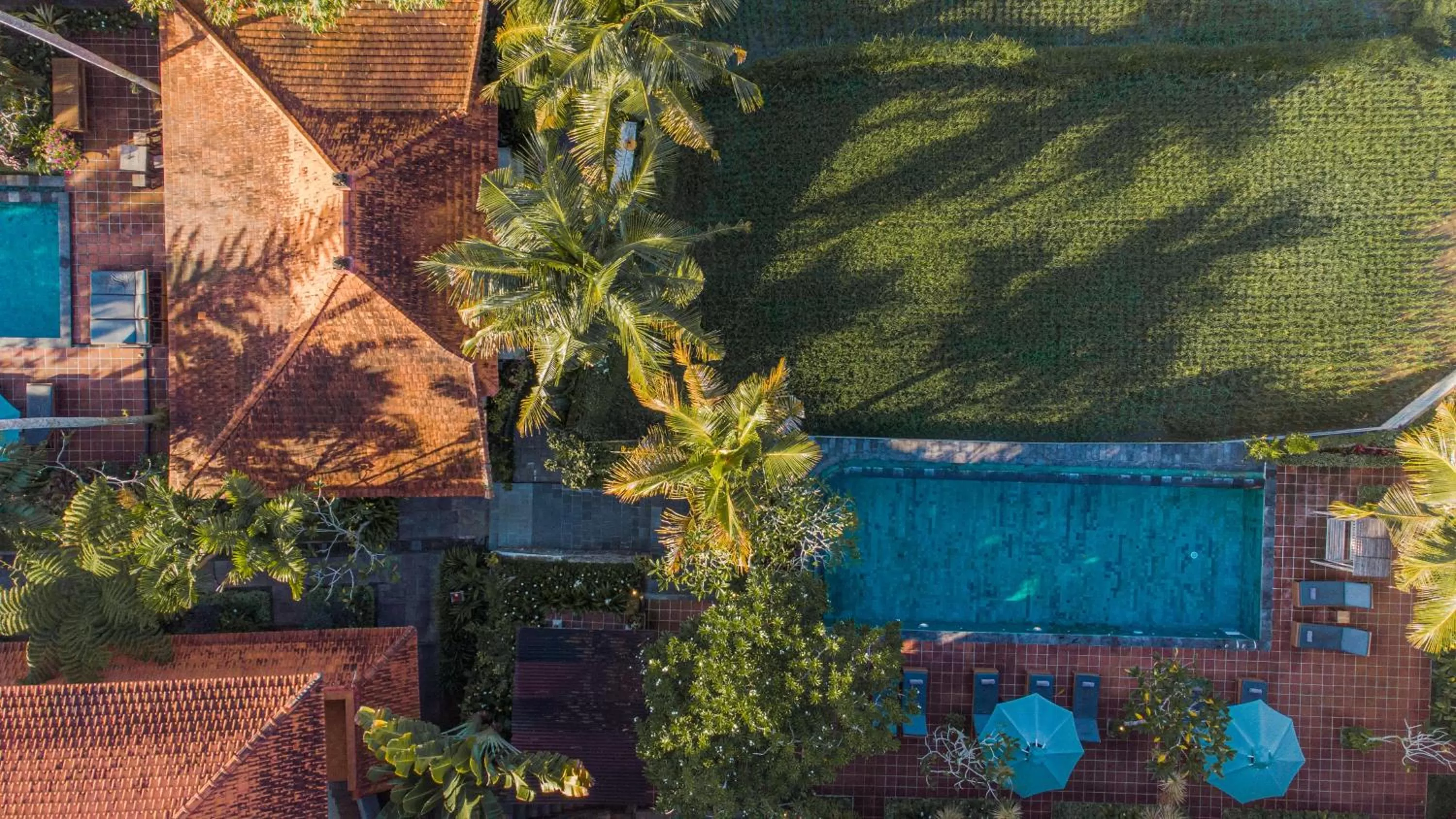Garden in Artini Bisma Ubud Hotel