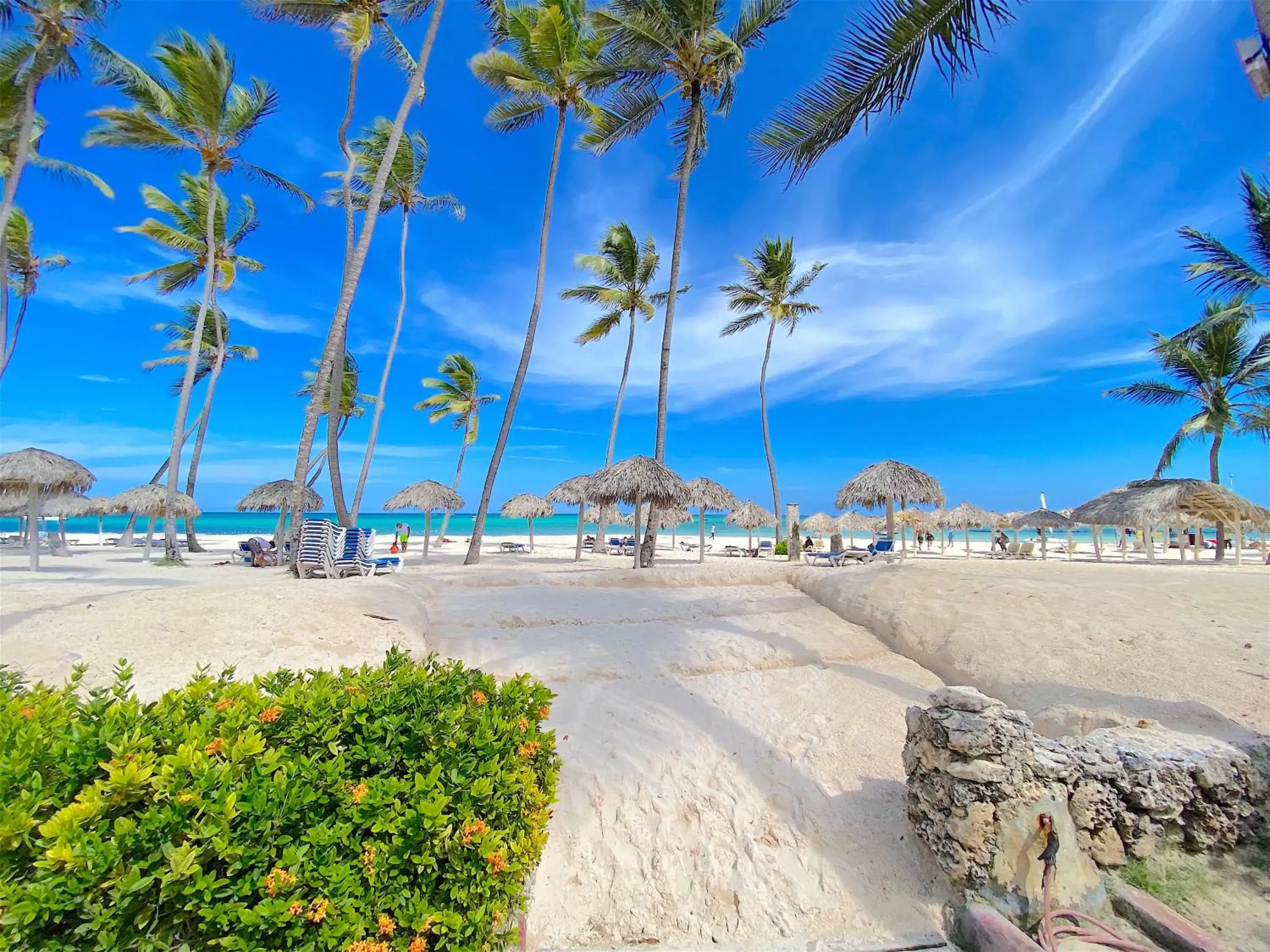 Beach in LOS CORALES VILLAS and SUITES - BEACH CLUB, SPA, RESTAURANTS