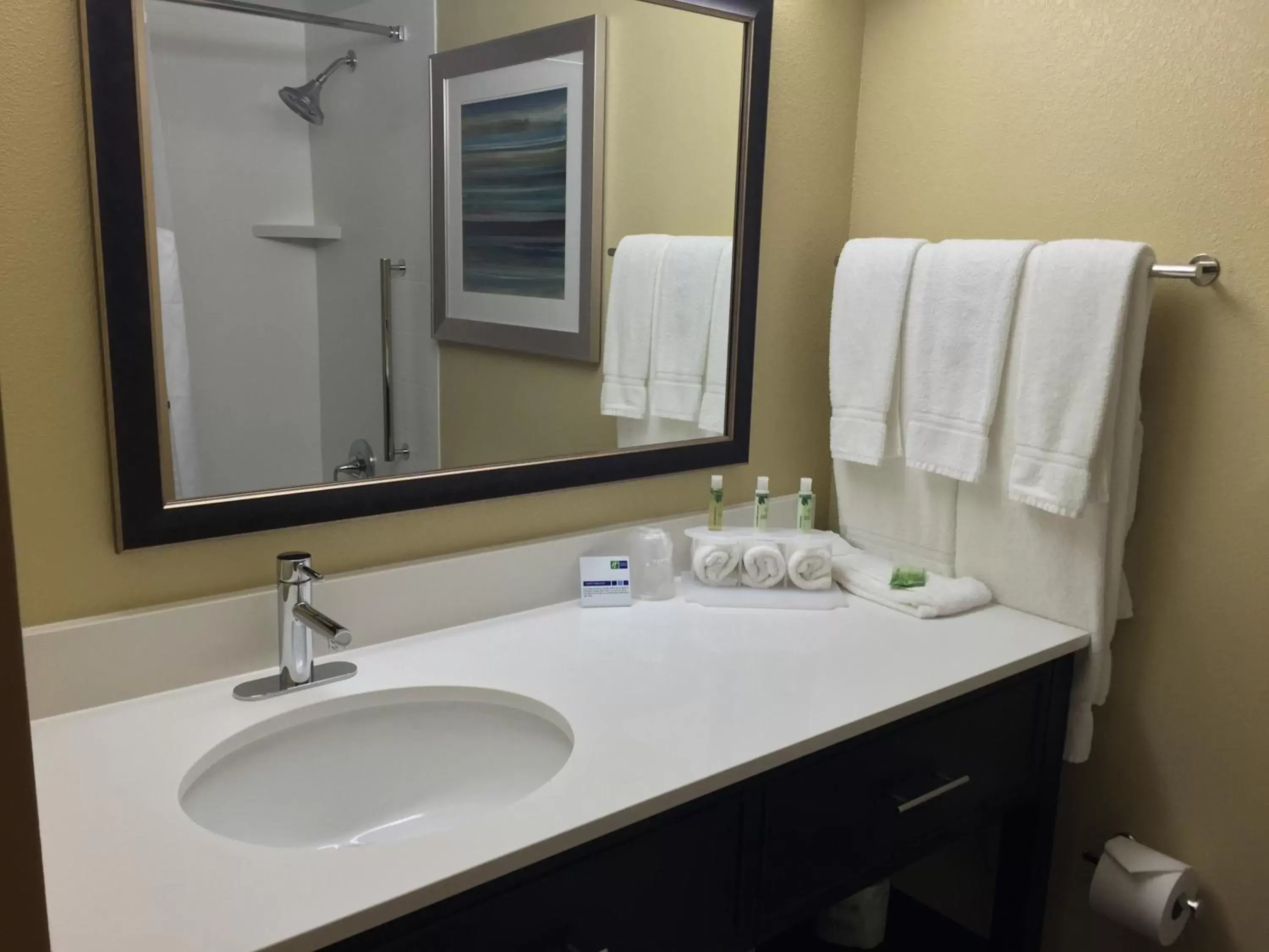 Bathroom in Holiday Inn Express Chicago NW - Arlington Heights, an IHG Hotel