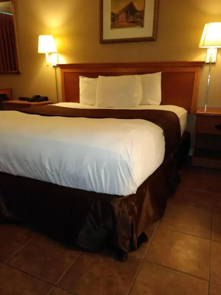 Bed in Knights Inn San Antonio near AT&T Center