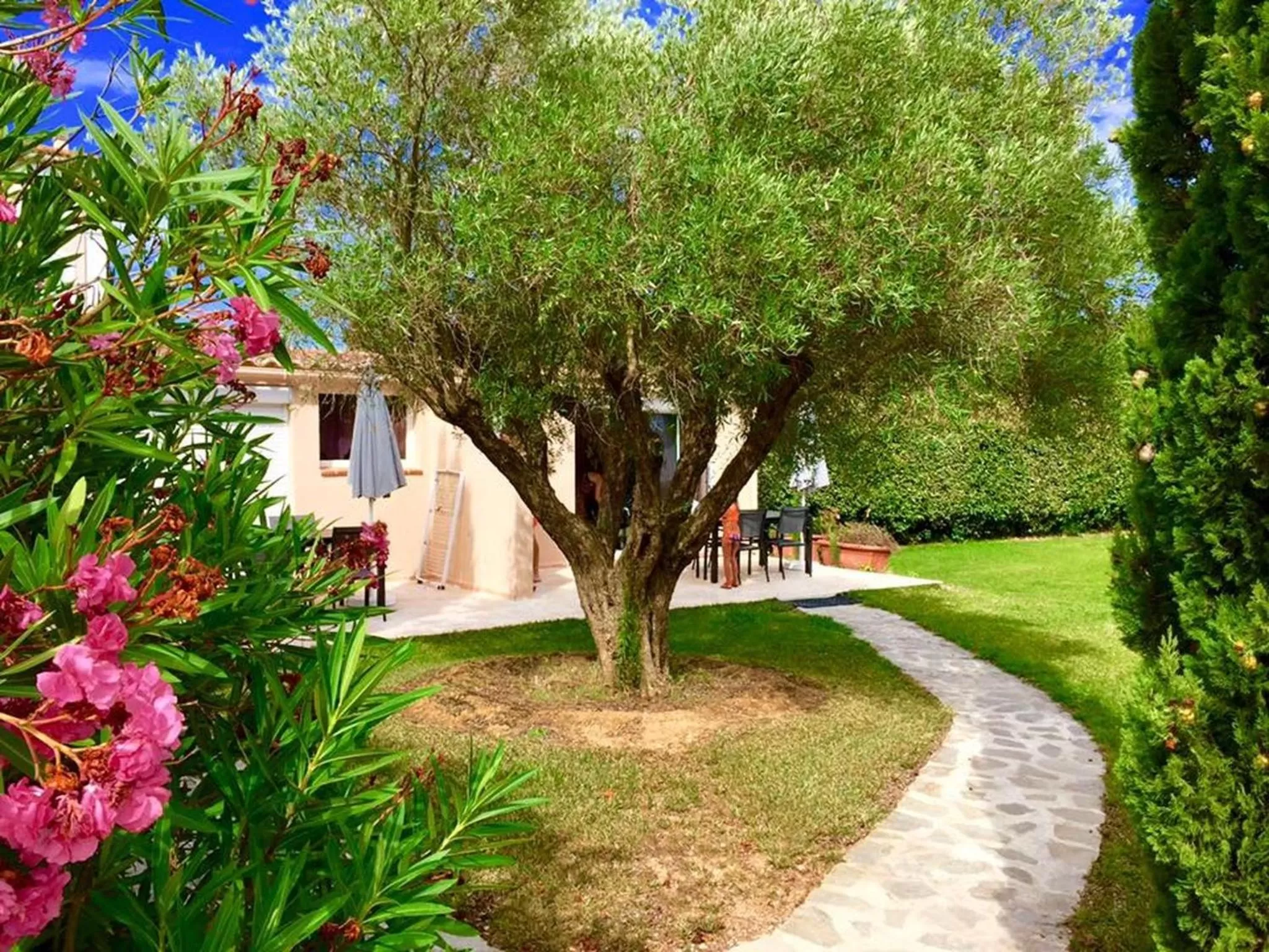 Garden view in Domaine de l'Aufrene