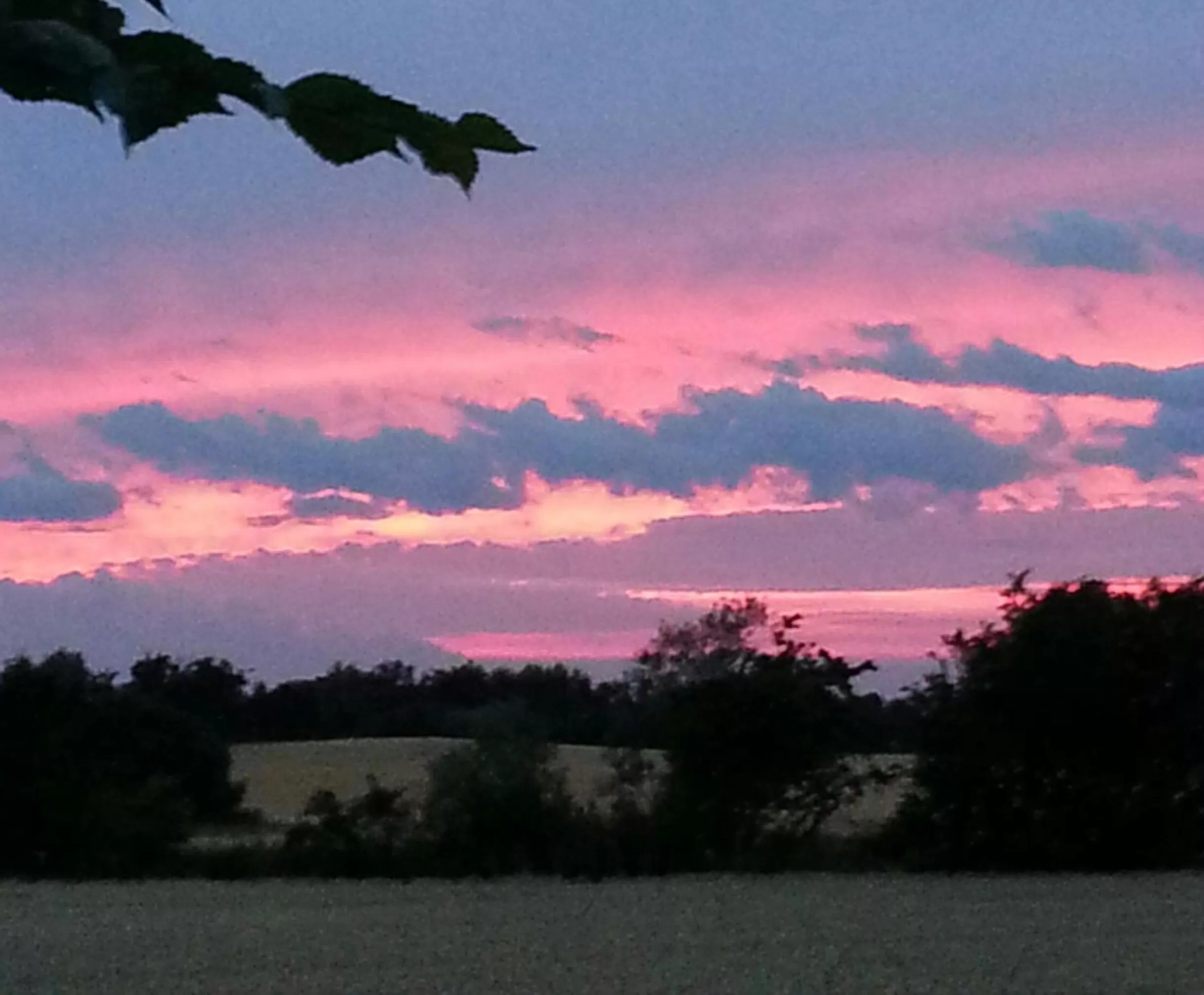 Natural landscape in Roskilde B&B