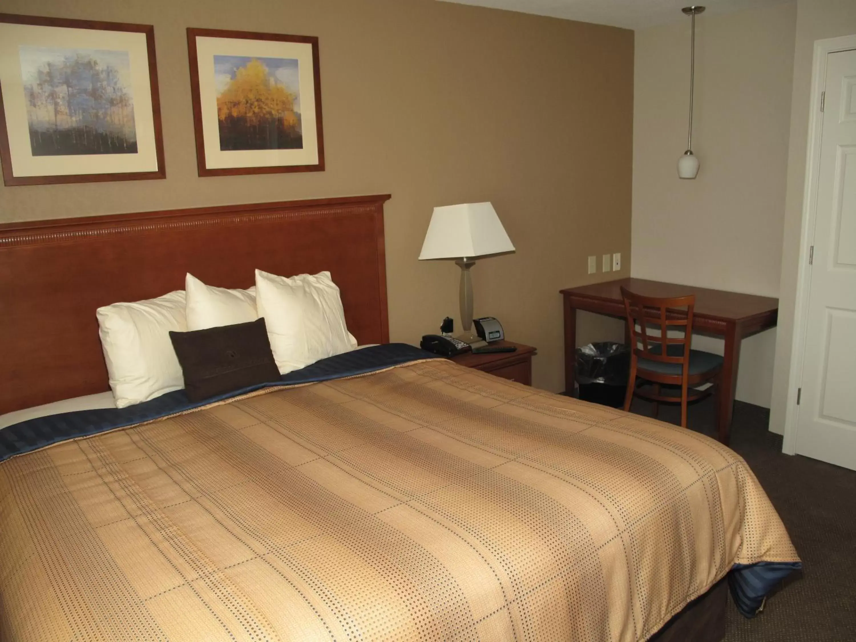 Photo of the whole room, Bed in Candlewood Suites Elgin – Northwest Chicago, an IHG Hotel