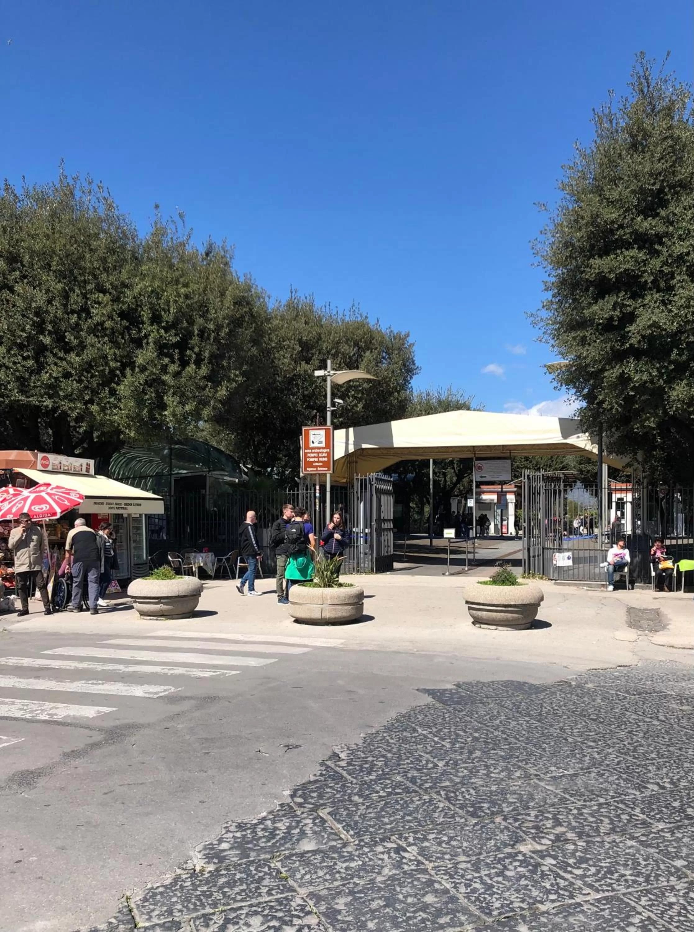 Domus Narciso Gallery