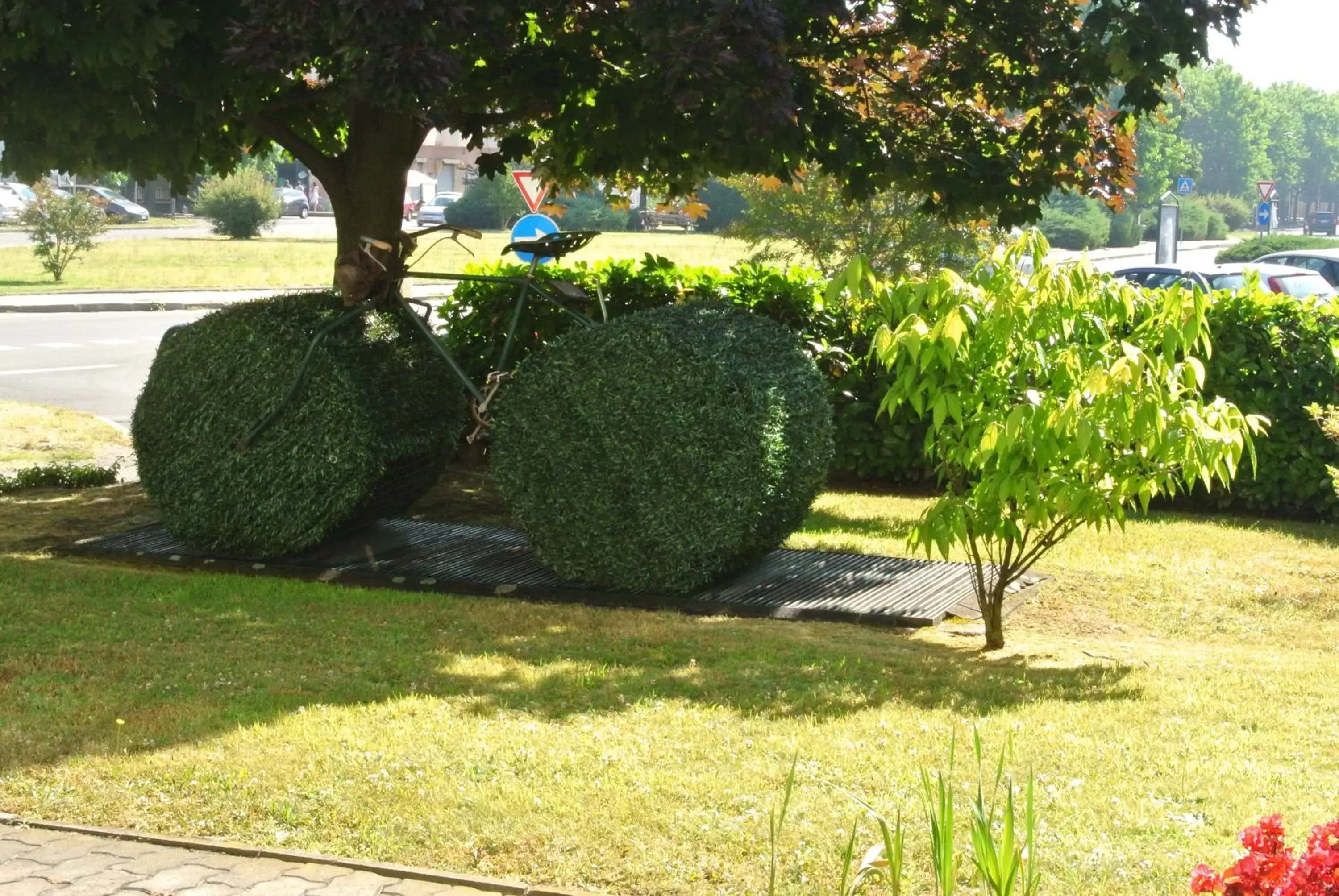 Garden in Modo Hotel