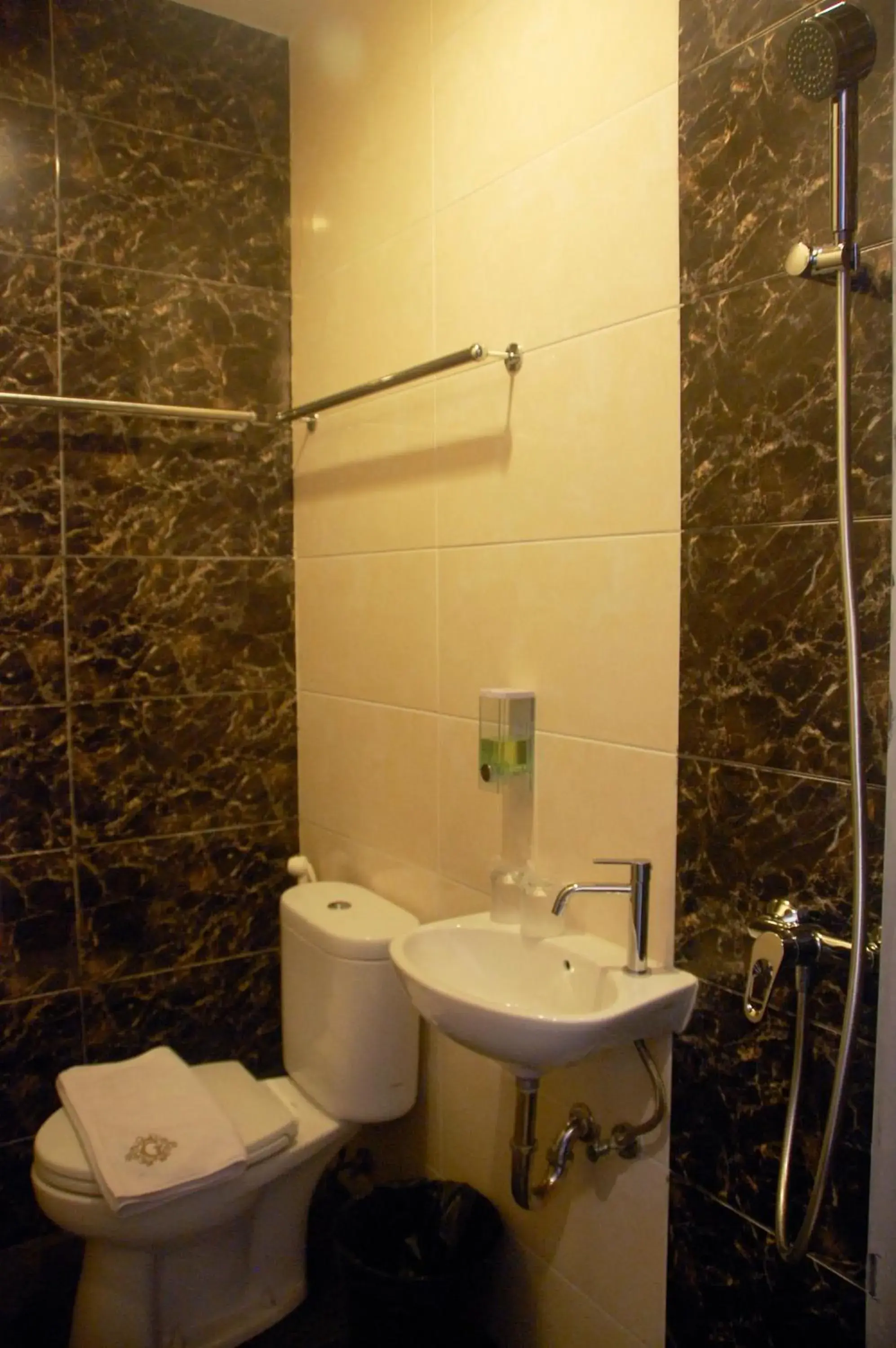 Shower, Bathroom in Gandhi Inn
