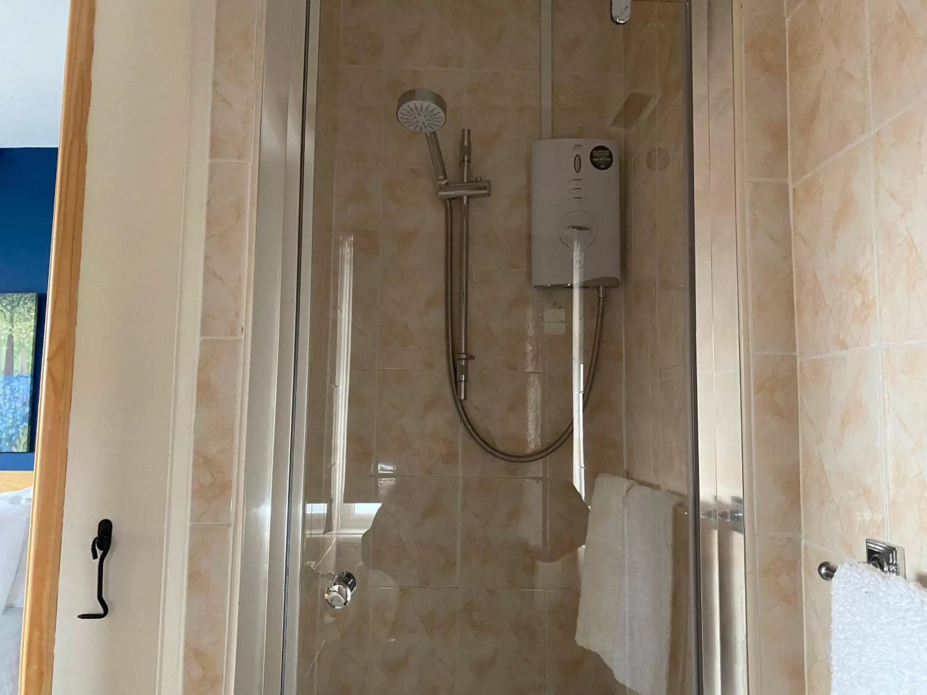 Shower, Bathroom in Buile Hill Holiday Flats