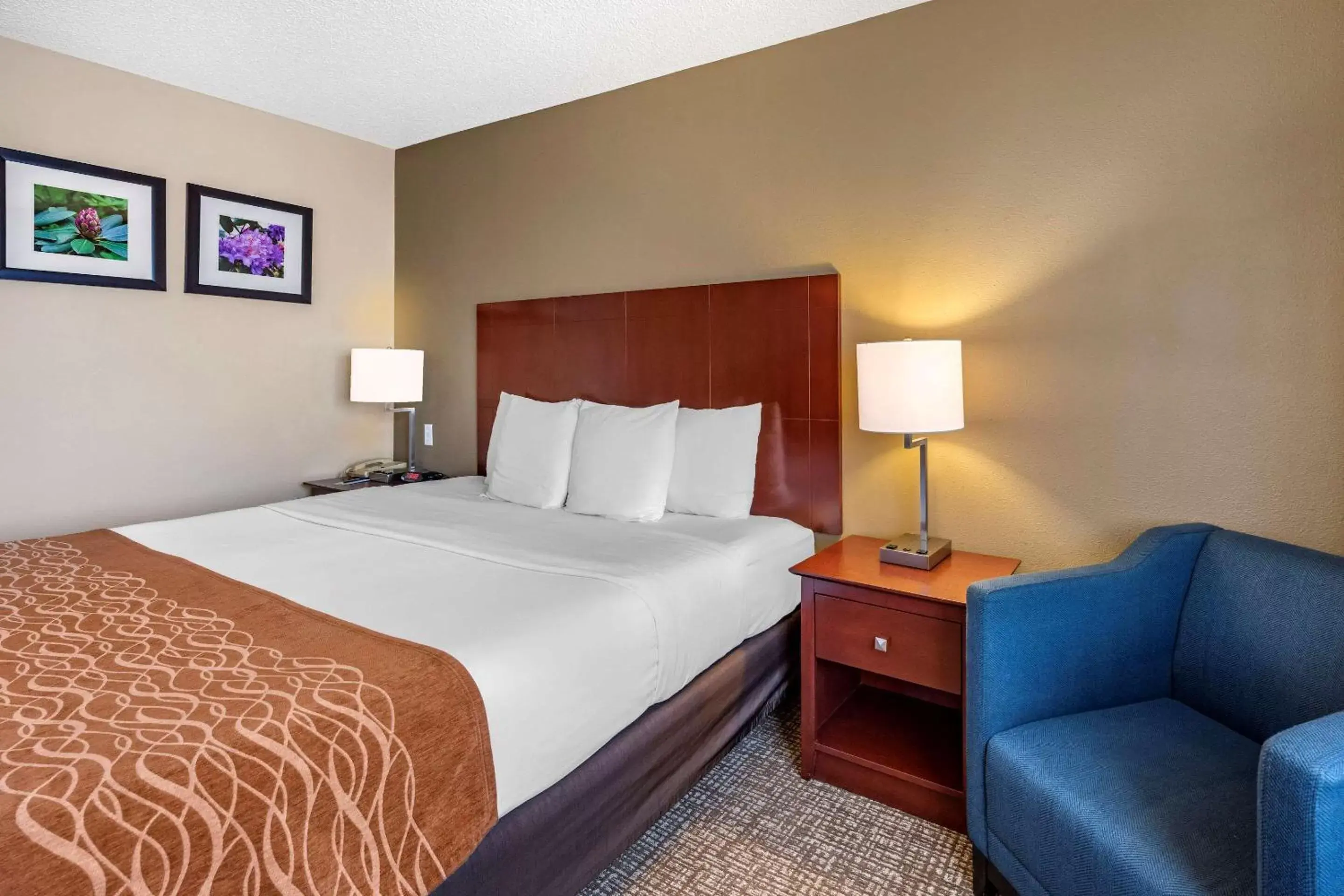 Photo of the whole room, Bed in Comfort Inn & Suites Kelso - Longview