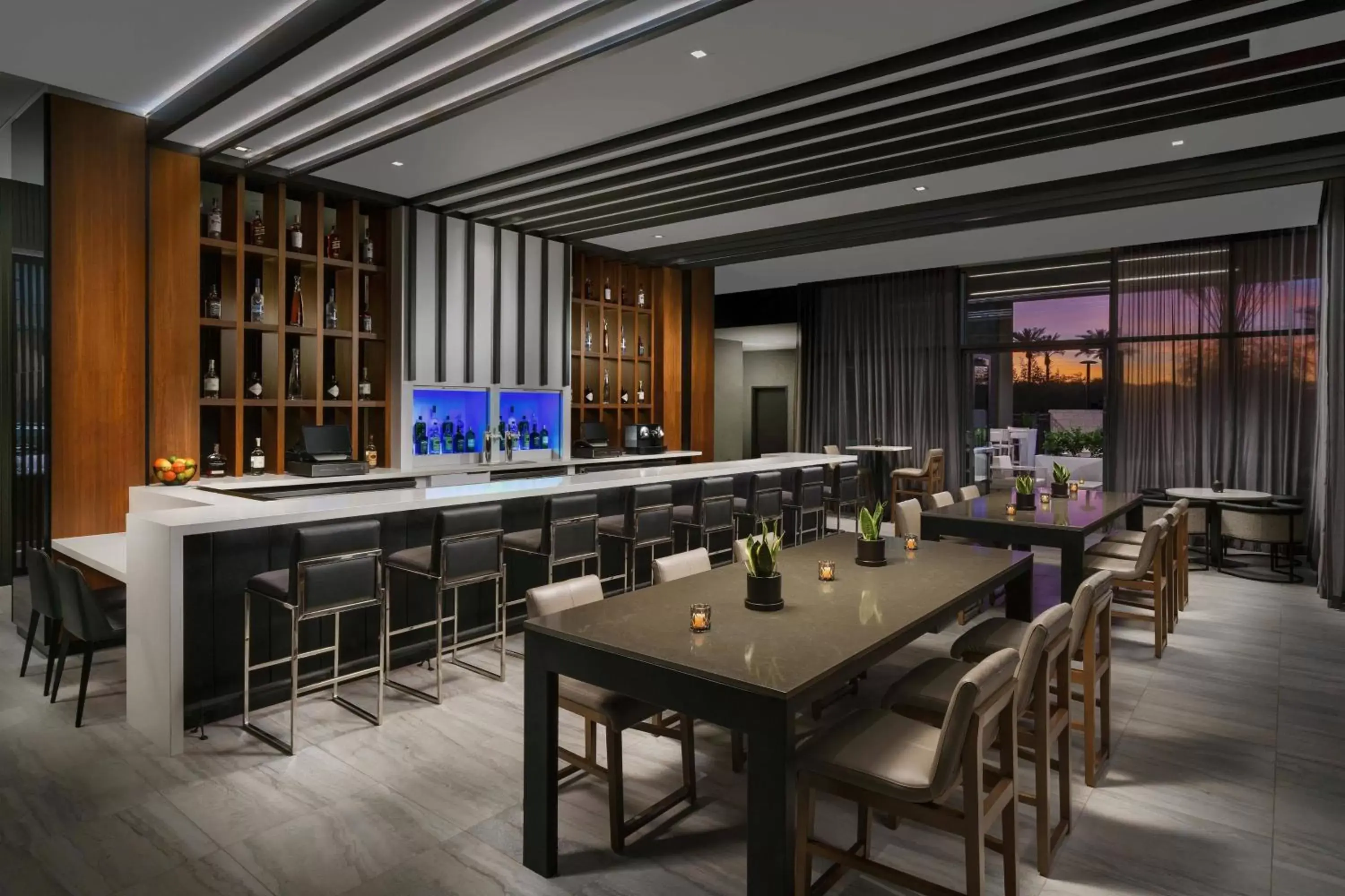 Lounge or bar, Restaurant/Places to Eat in AC Hotel by Marriott Scottsdale North