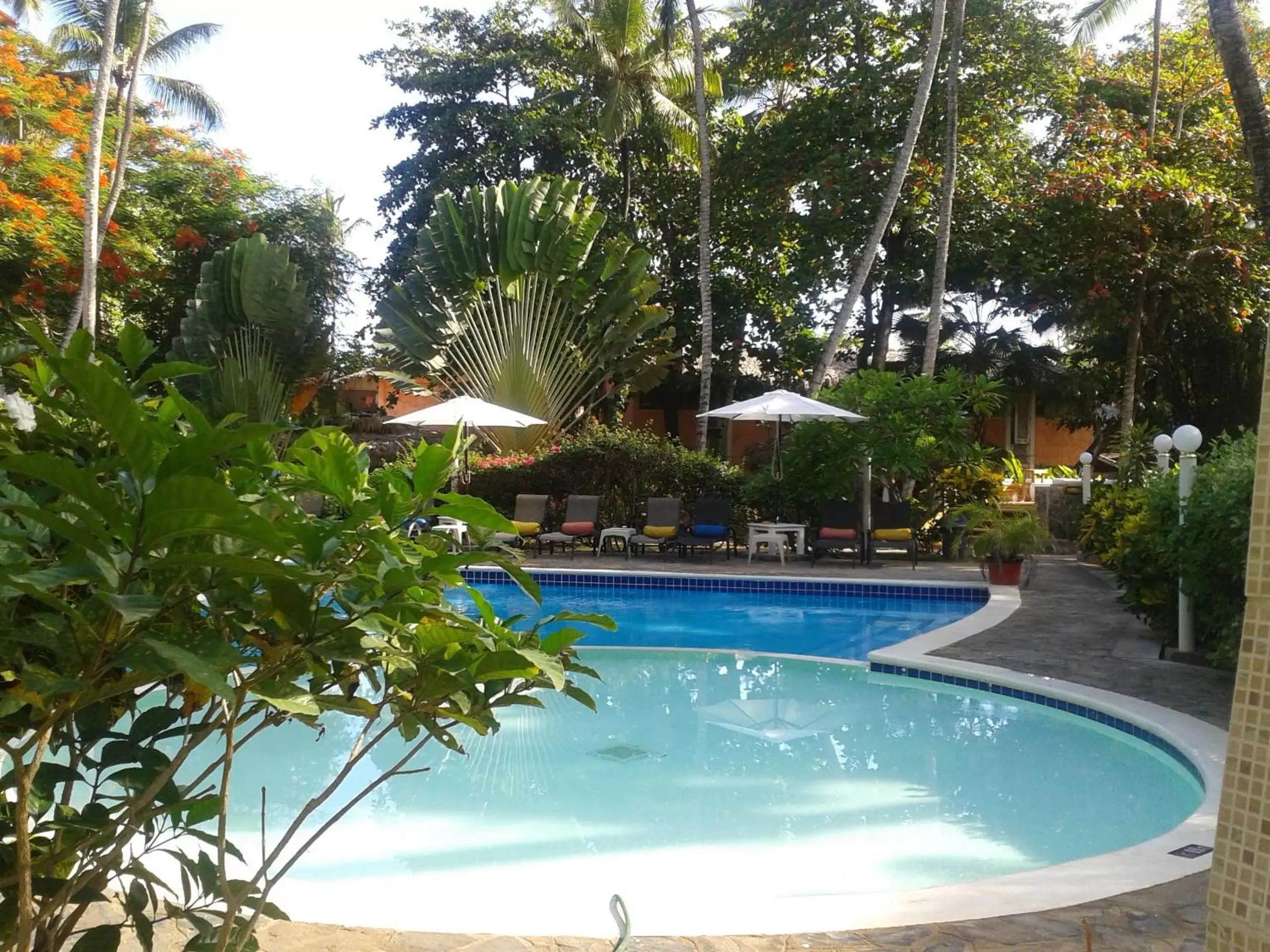 , Swimming Pool in La Residencia del Paseo