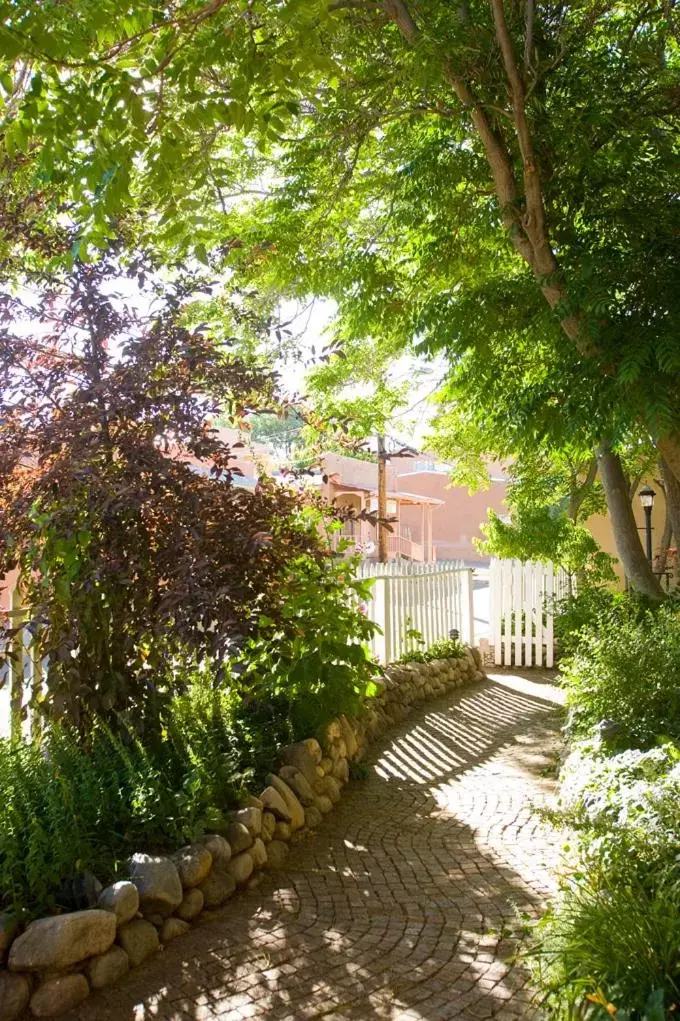 Garden in Las Palomas