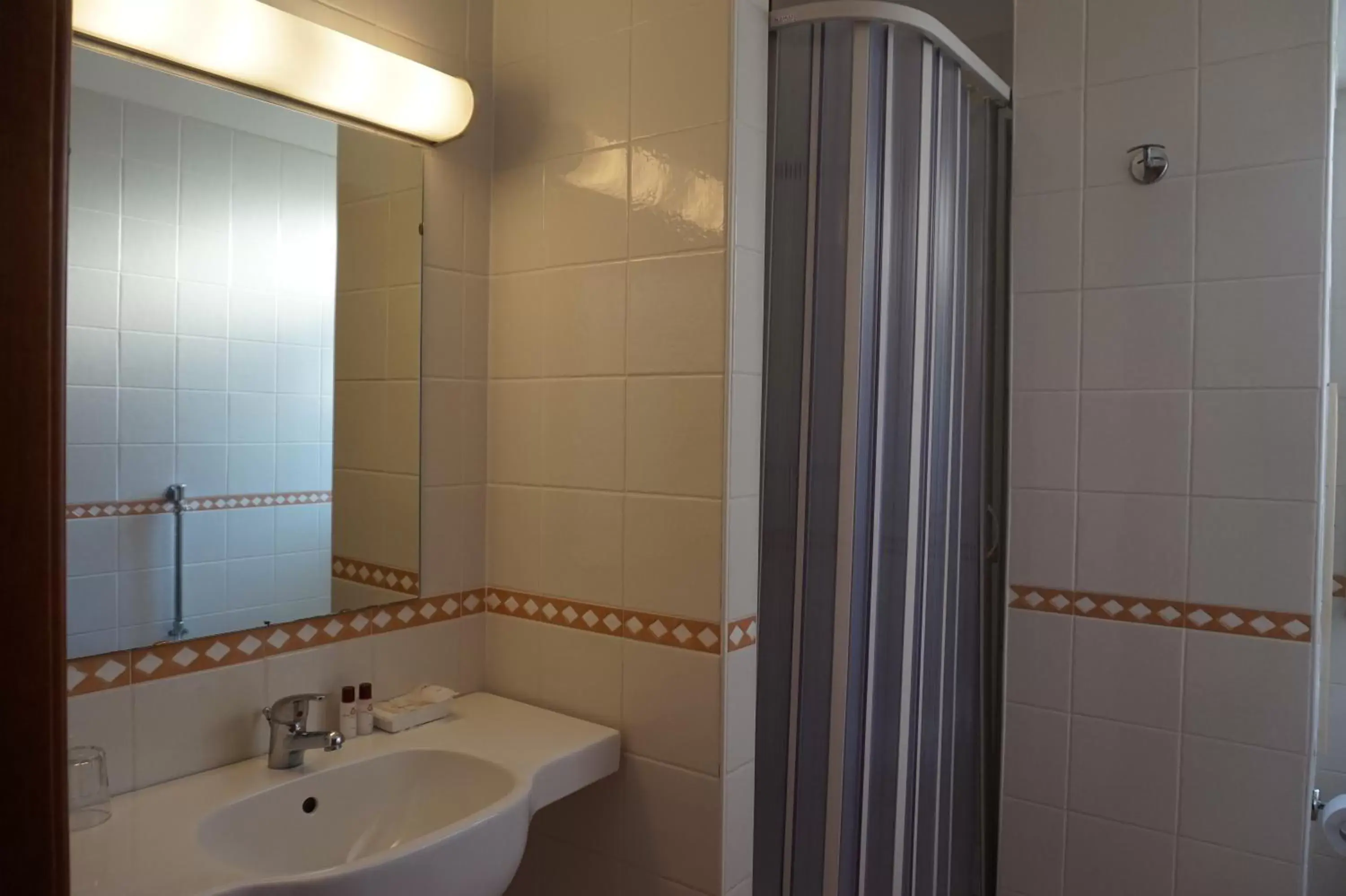 Shower, Bathroom in Hotel Europa