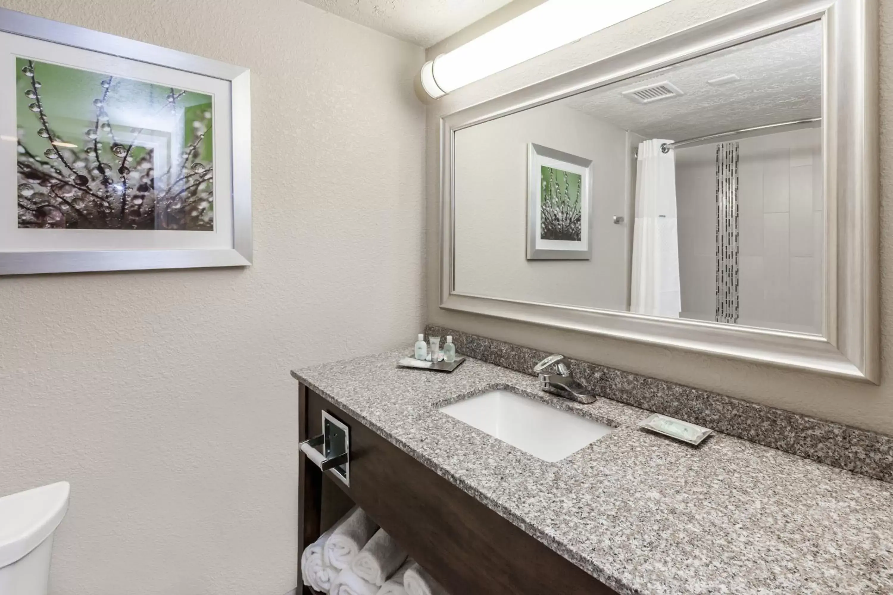 Bathroom in Holiday Inn Hotel & Suites Oklahoma City North, an IHG Hotel