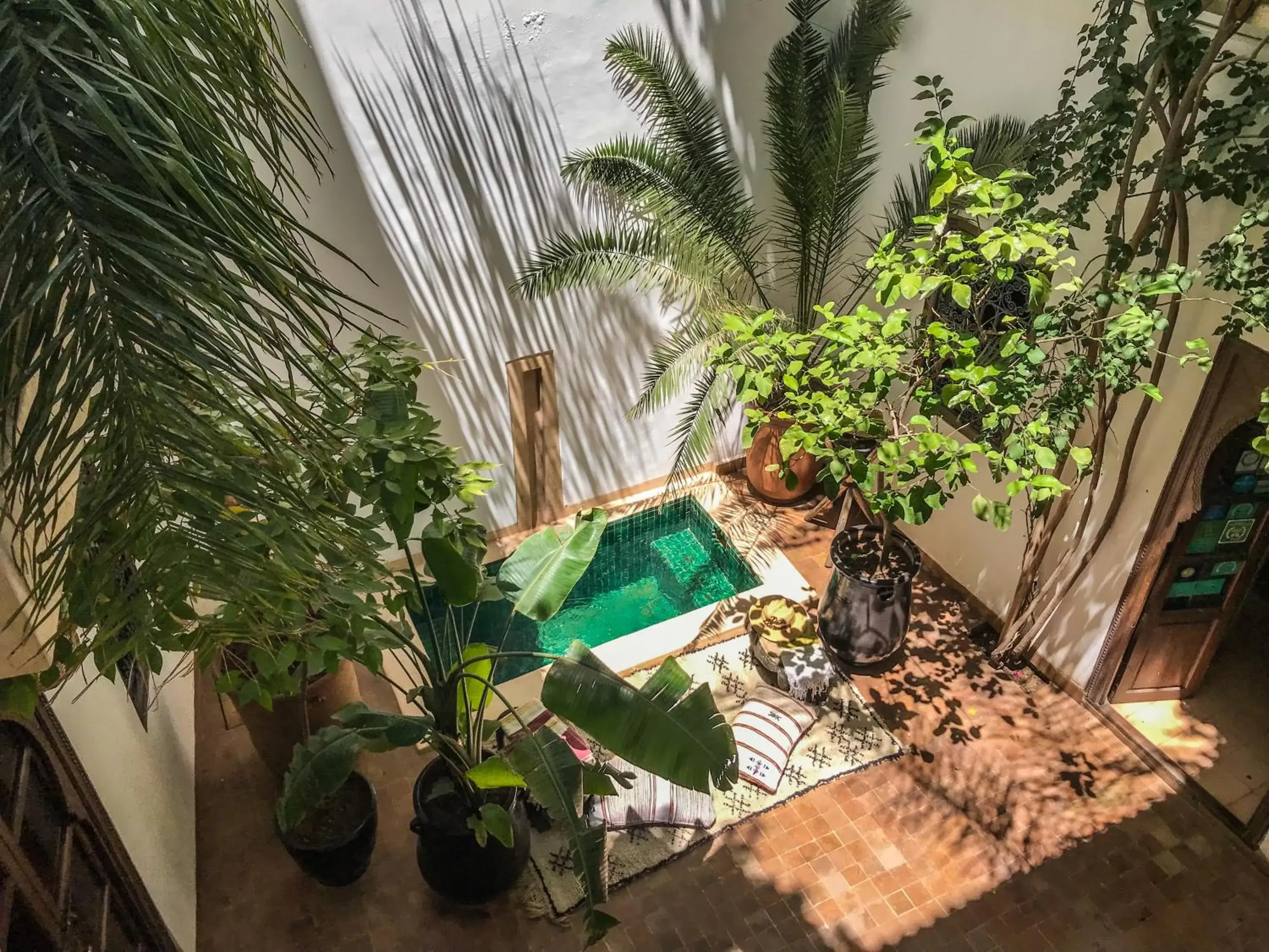 Garden, Pool View in Riad Dar Zaman