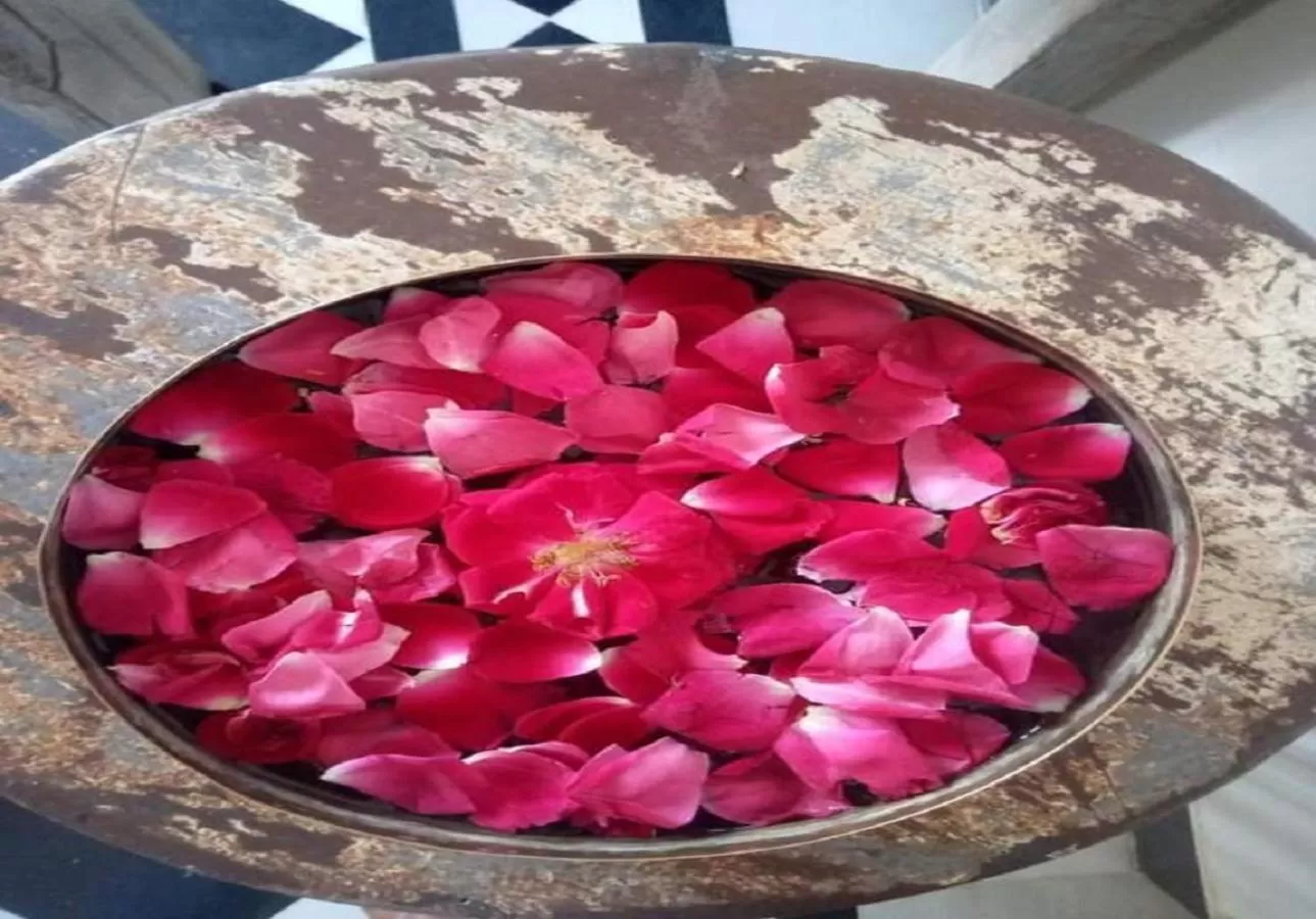 Decorative detail in The Secret House - Adults Only Jaisalmer India