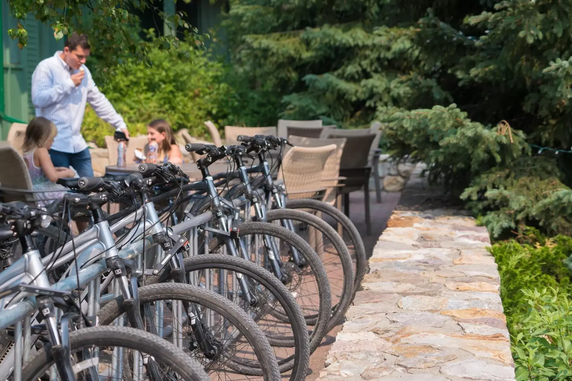 Area and facilities, Biking in Lake Louise Inn