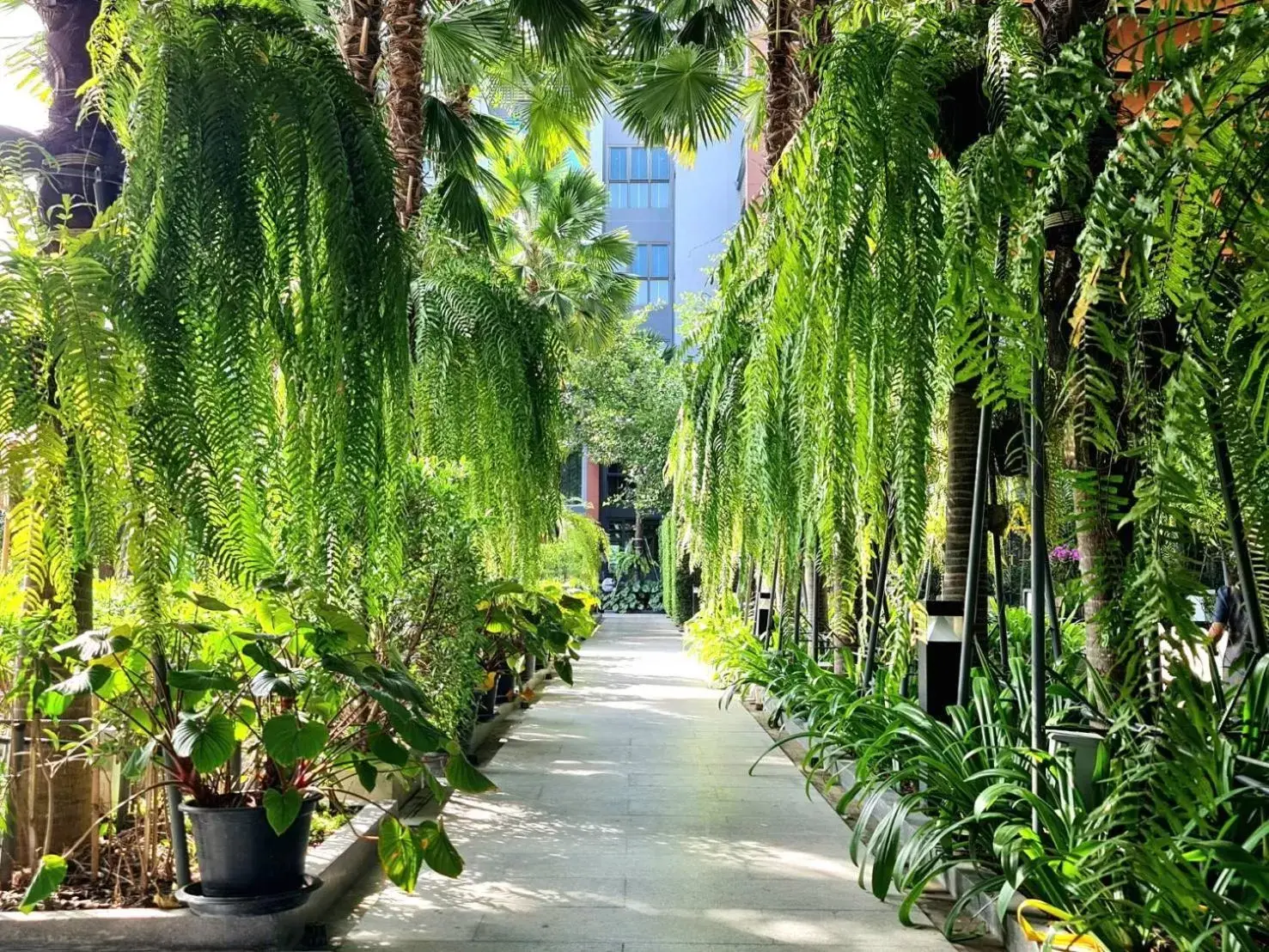 Natural landscape in Aisana Hotel Korat