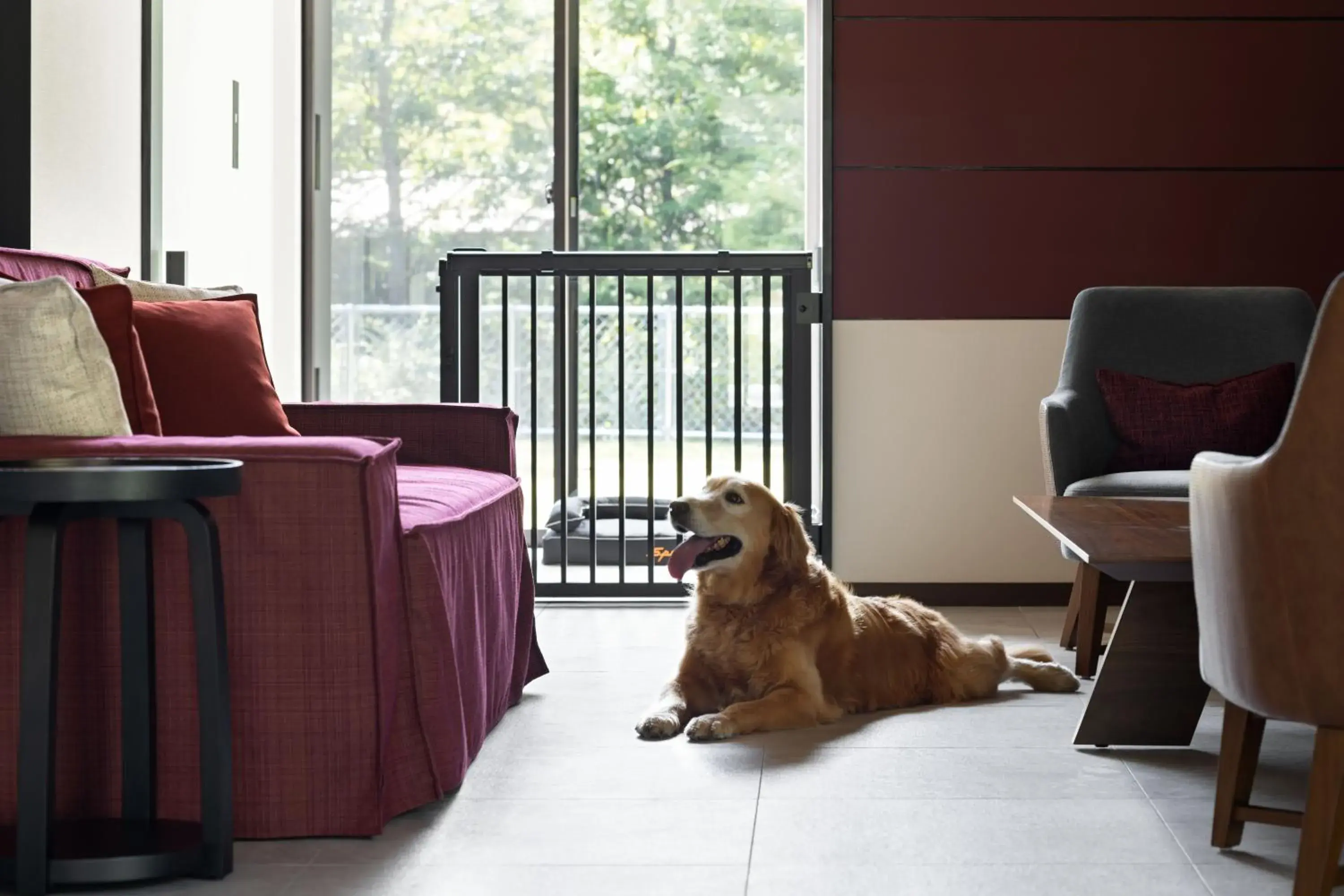 Pets in Fuji Speedway Hotel, Unbound Collection by Hyatt