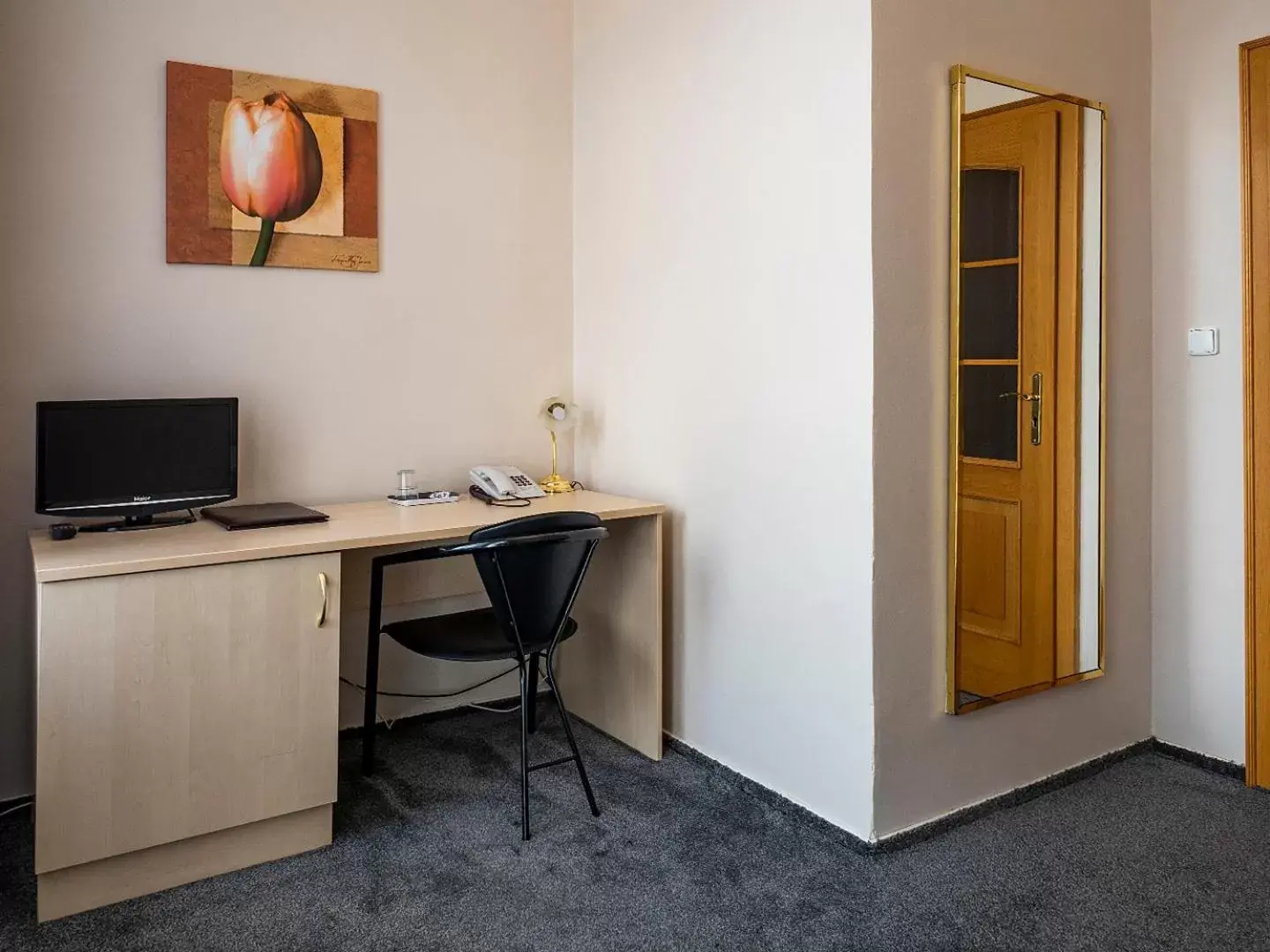 Single Room - single occupancy in Hotel Olympia Česká Lípa Single Room - single occupancy in Hotel Olympia Česká Lípa