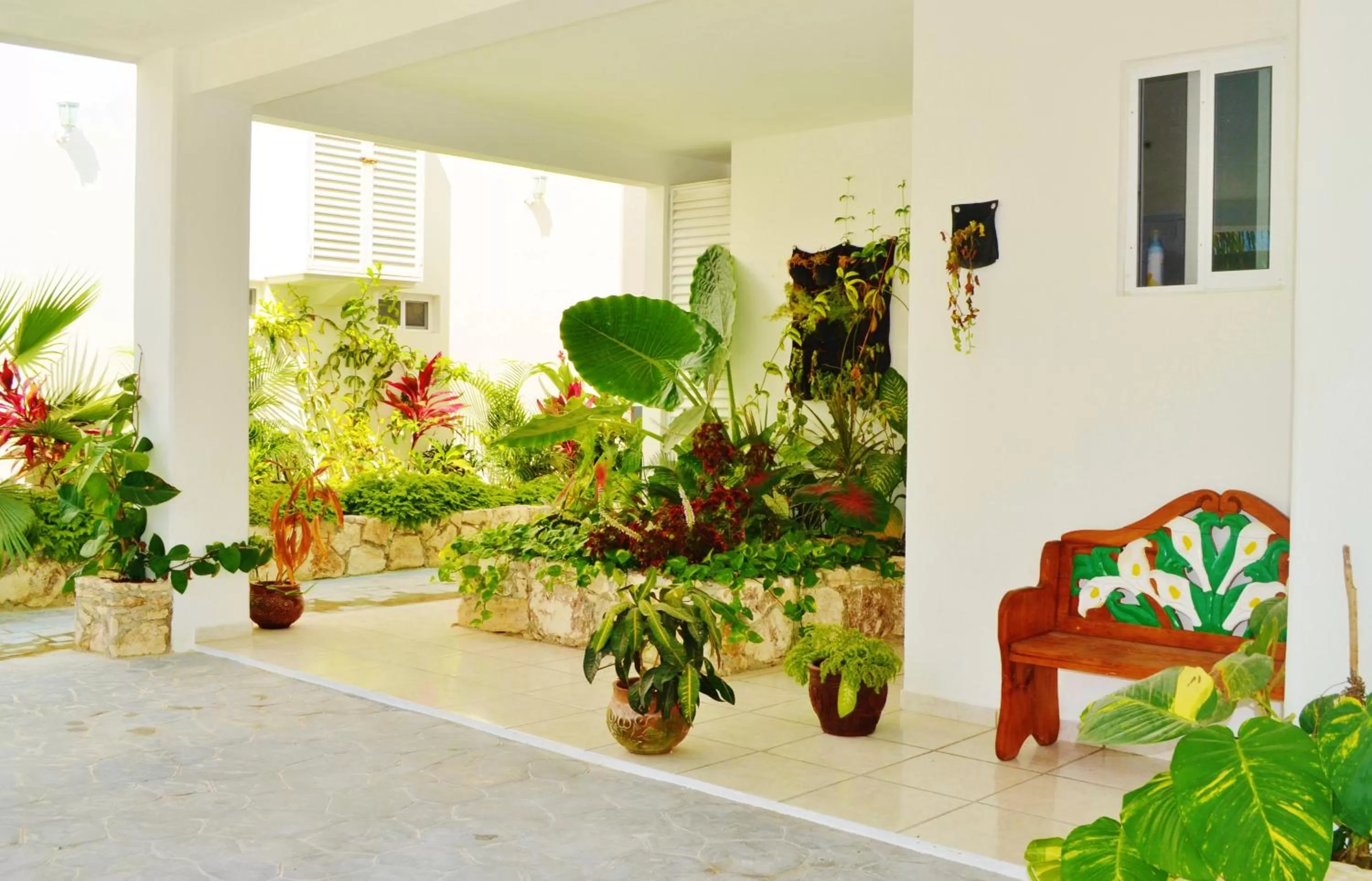 Day in Corales Suites