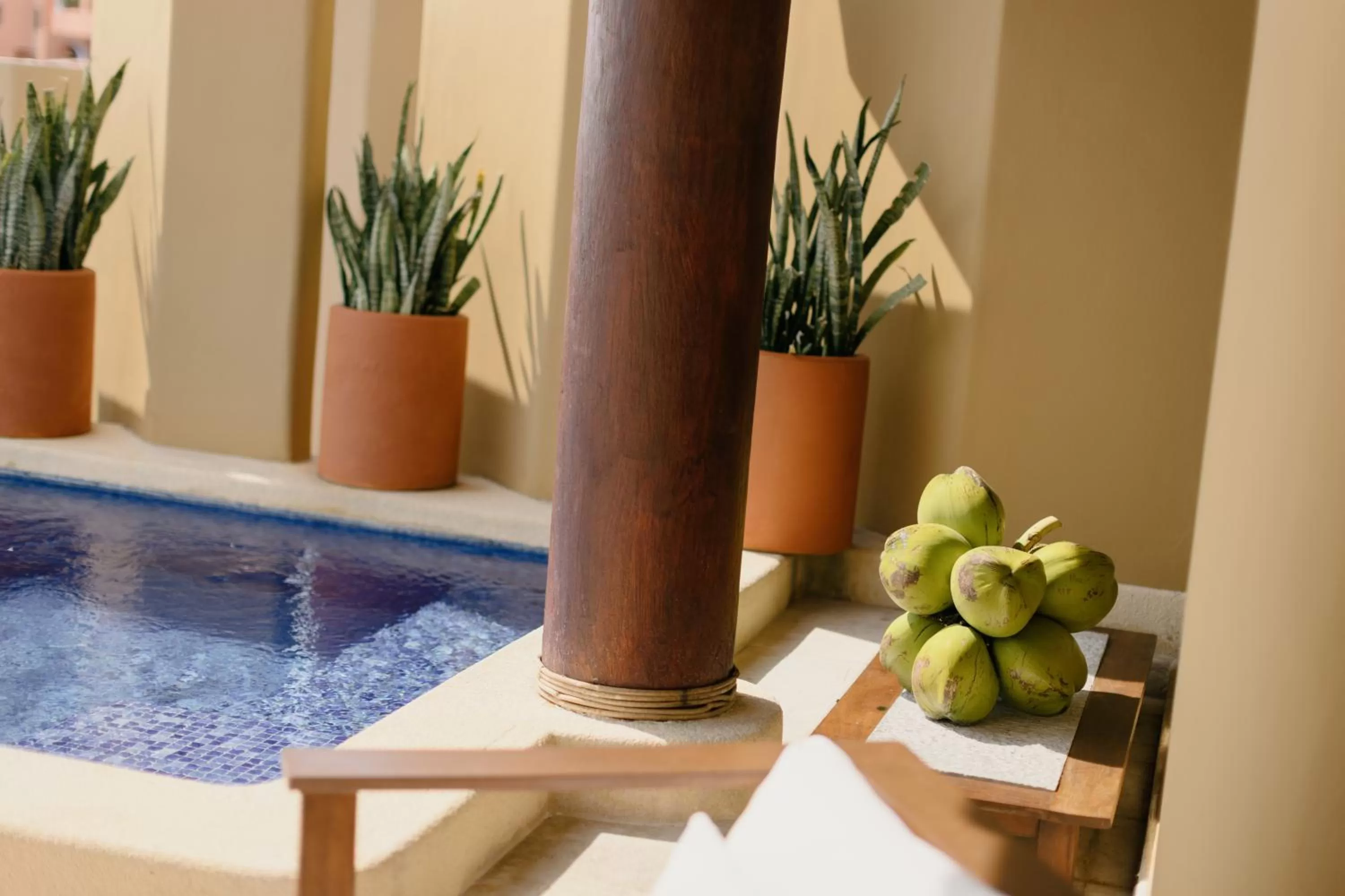 Swimming pool in Cala de Mar Resort & Spa Ixtapa