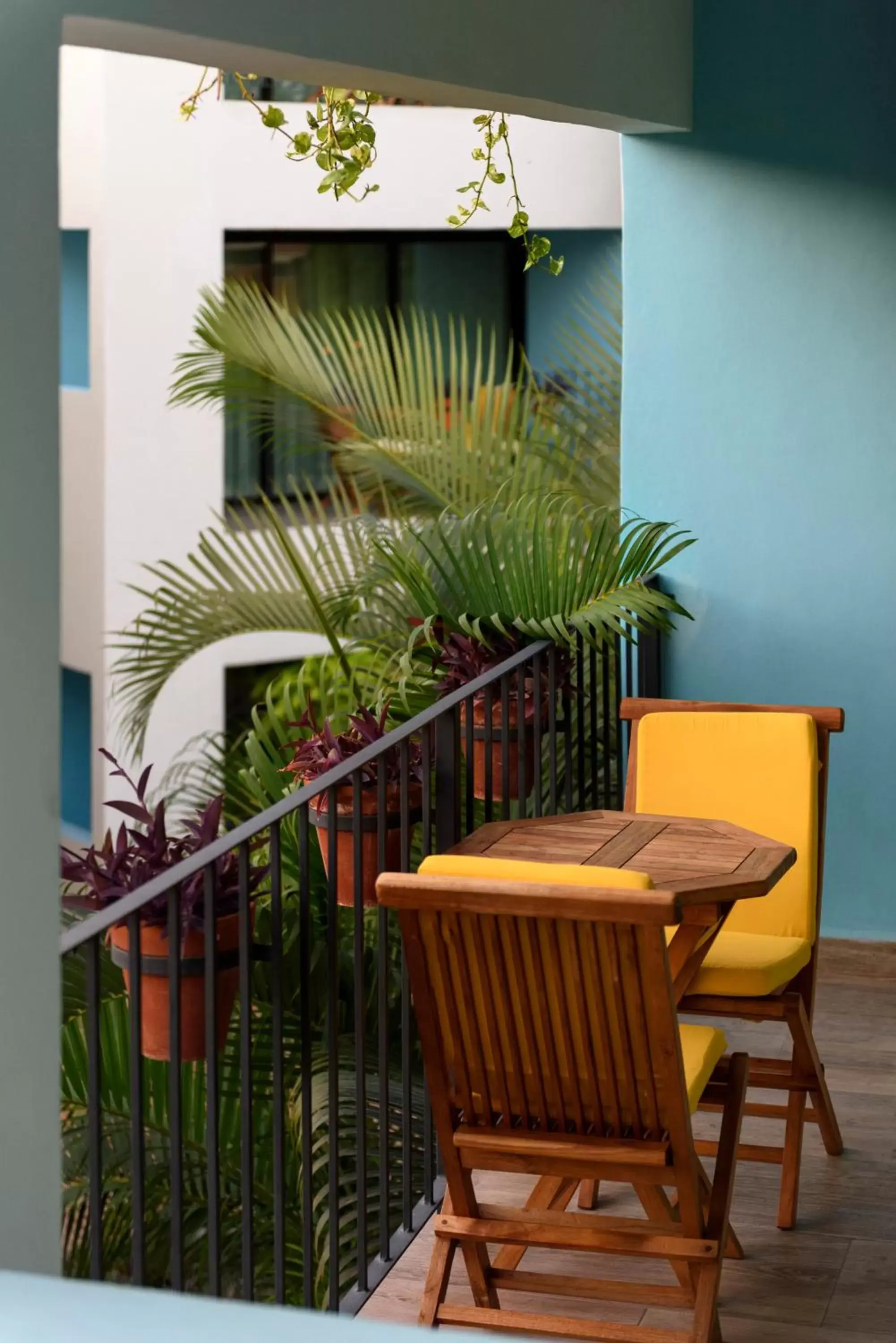 Balcony/Terrace in San Trópico Boutique Hotel & Peaceful Escape