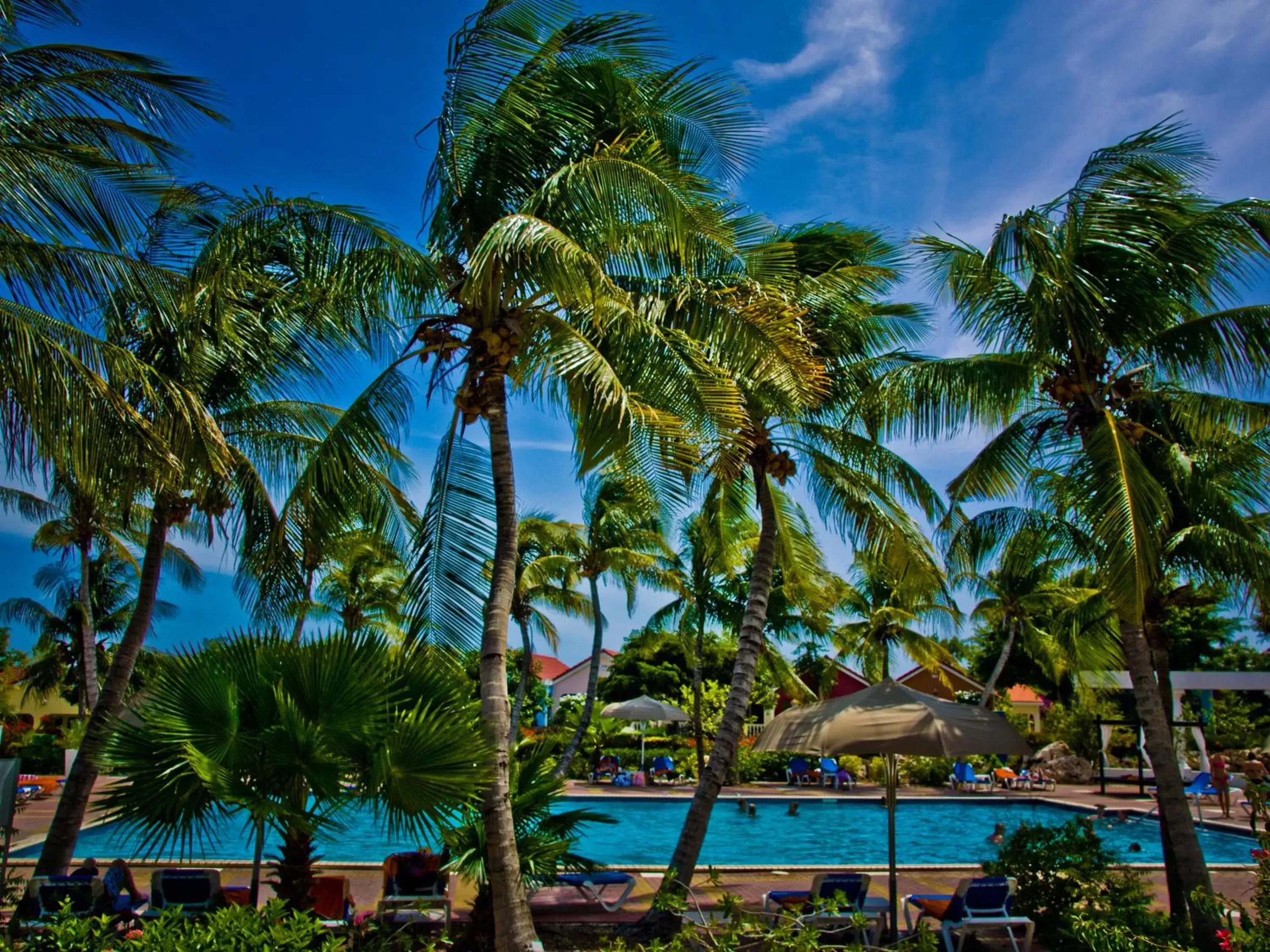 Swimming Pool in Livingstone Jan Thiel Resort