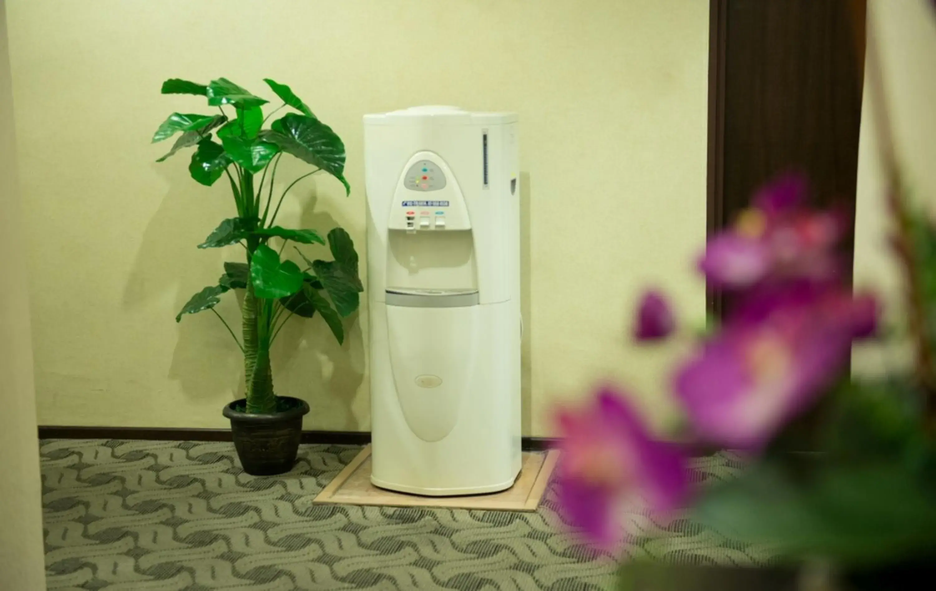 Other in Hotel Vistaria Other in Hotel Vistaria