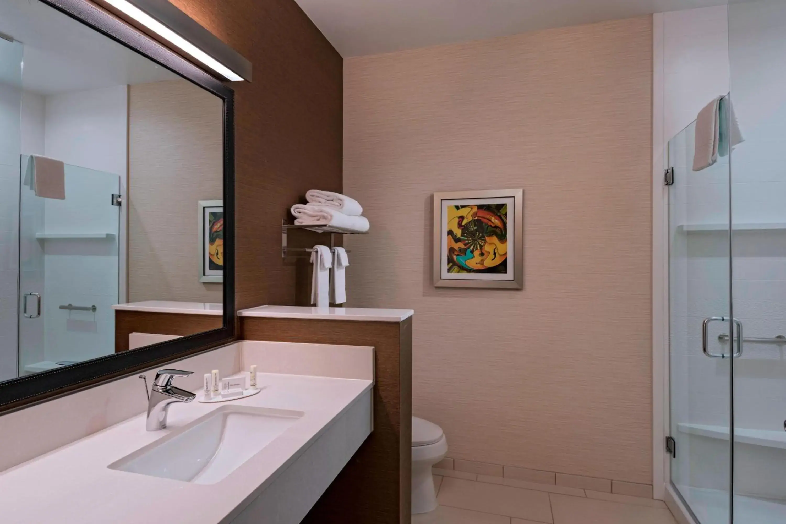 Bathroom in Fairfield Inn & Suites by Marriott Austin Buda